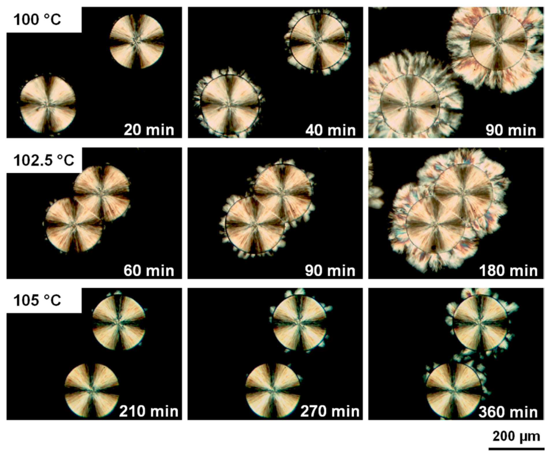 Polymers 10 00556 g008
