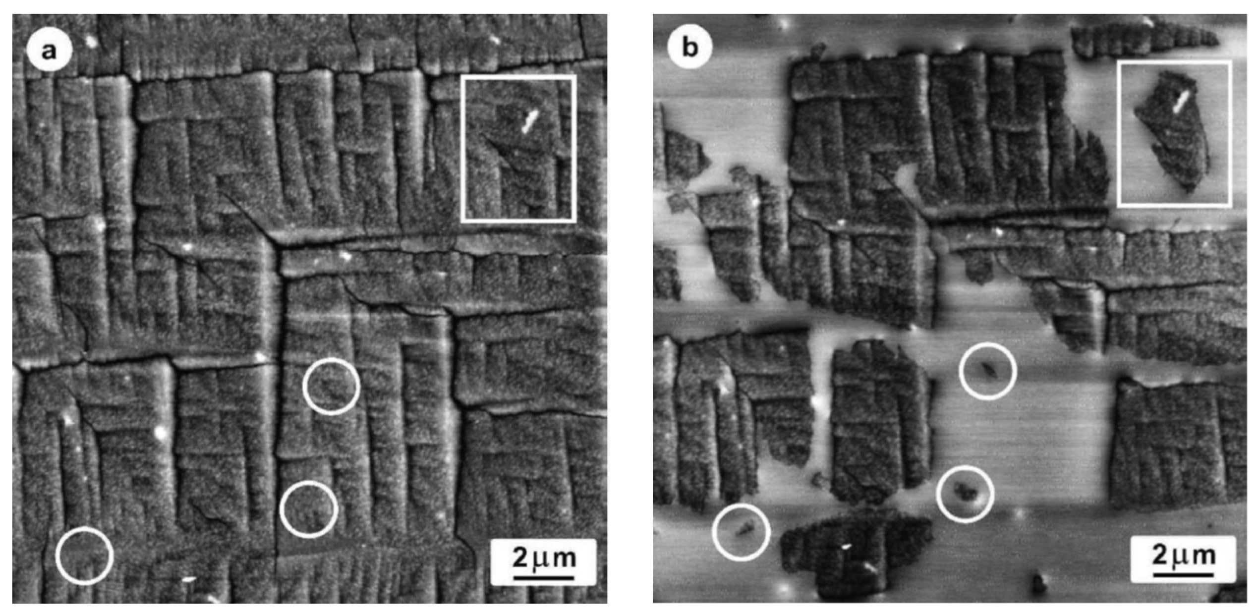 Polymers 10 00556 g027