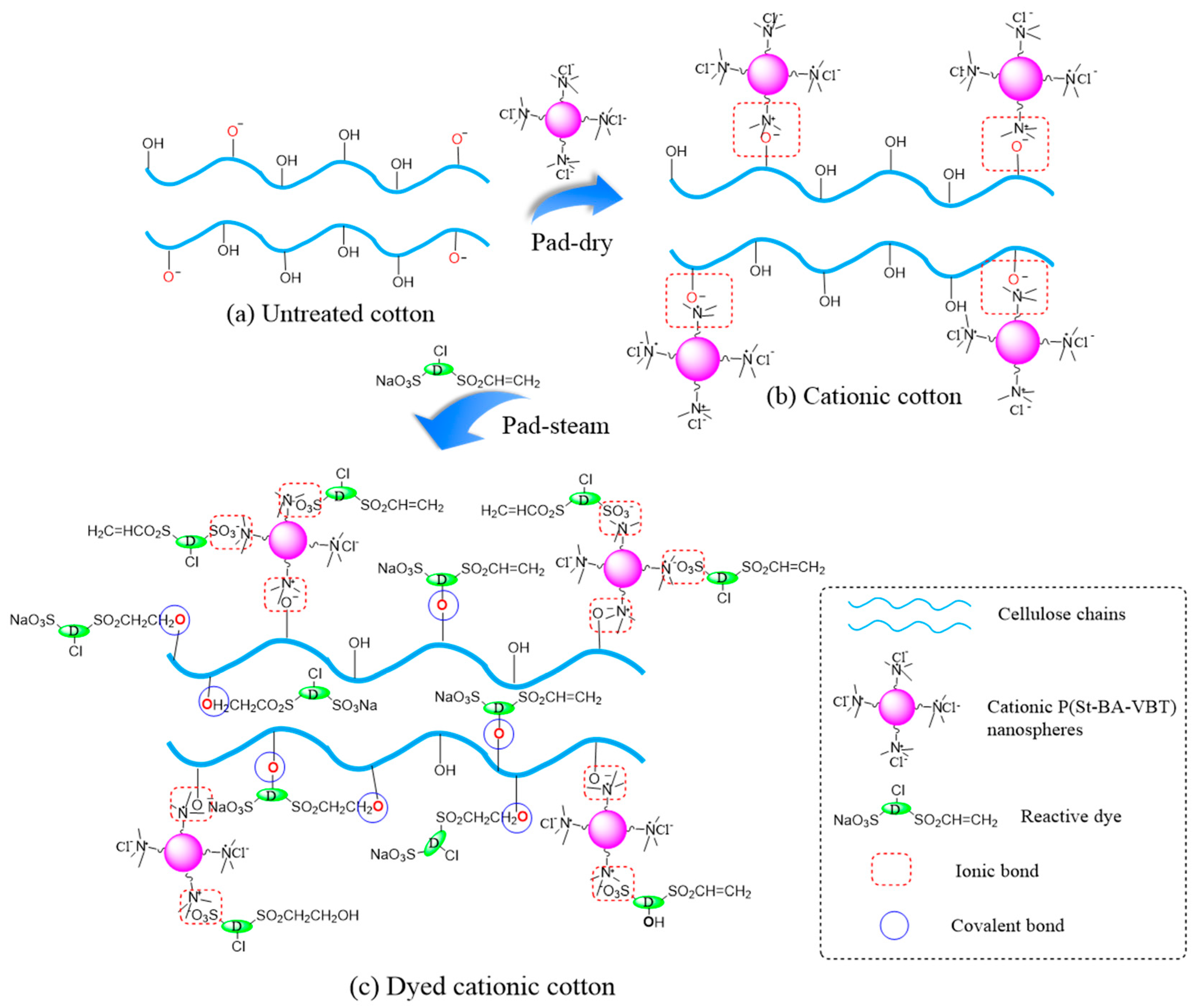 Polymers 10 00564 g004