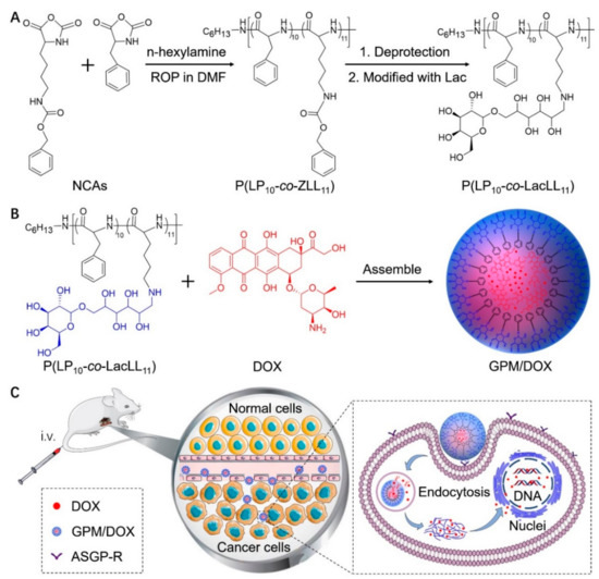 Polymers Special Issue Smart Polymers