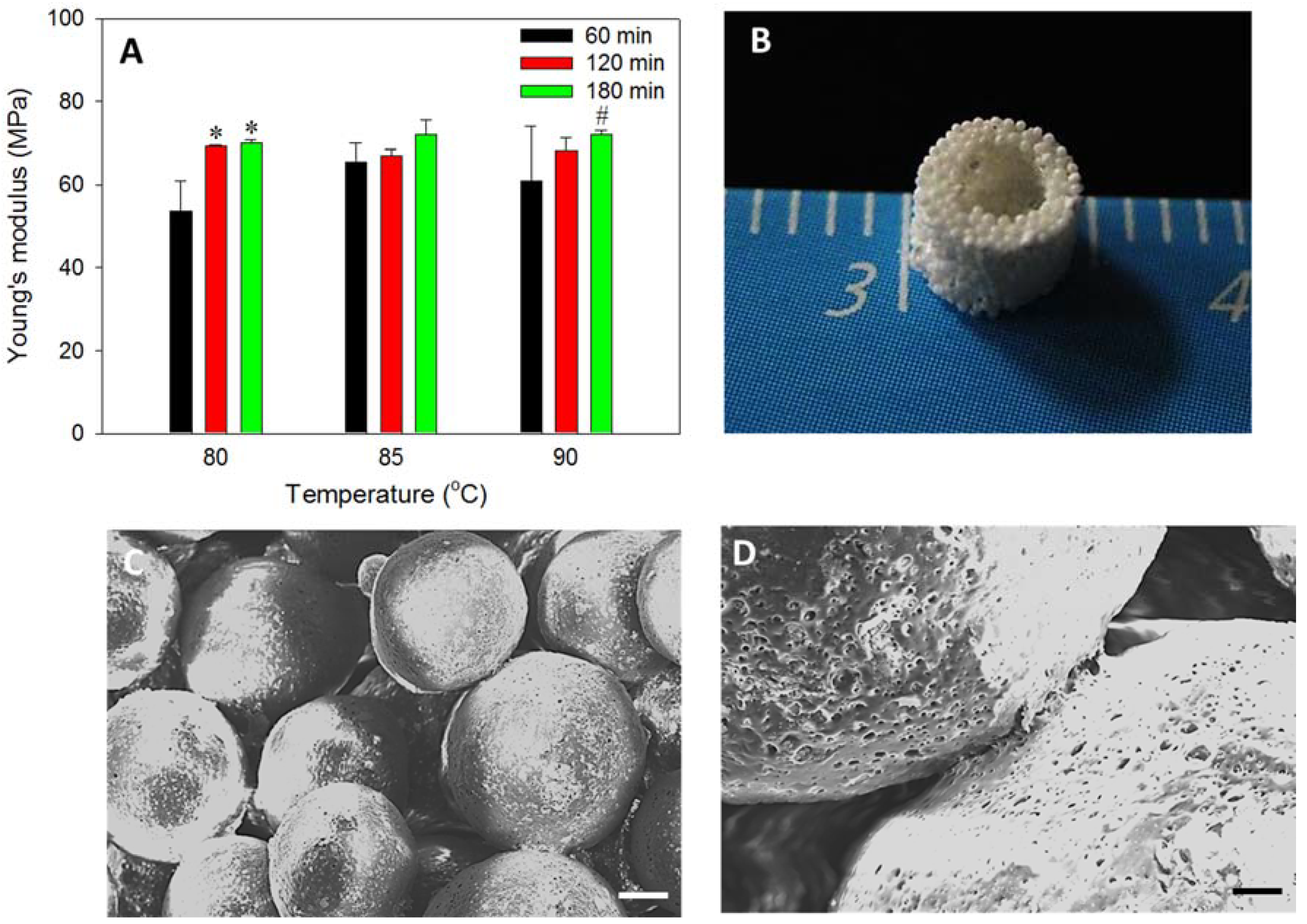 Polymers 10 00620 g003