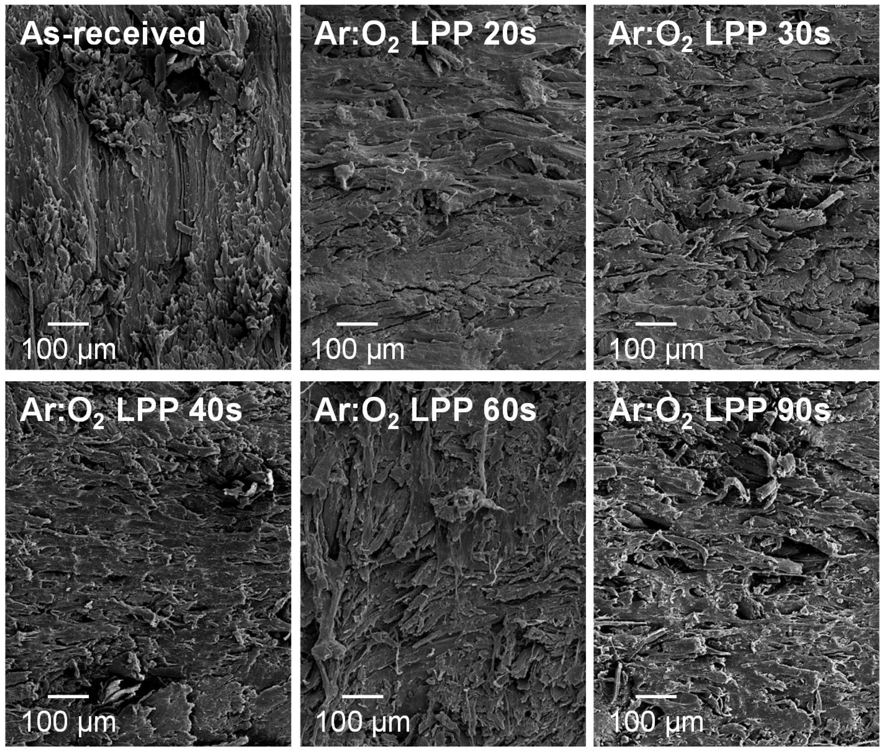 Polymers 10 00643 g008
