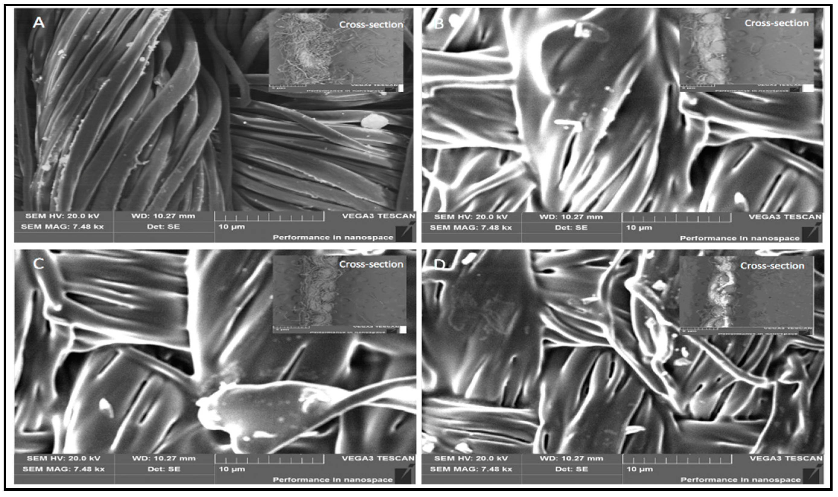 Polymers 10 00681 g013