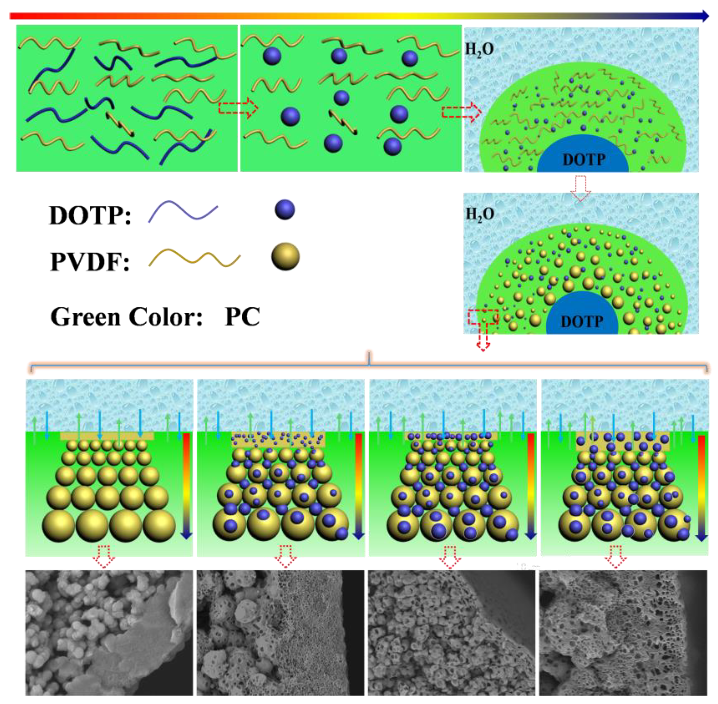 Polymers 10 00719 g008