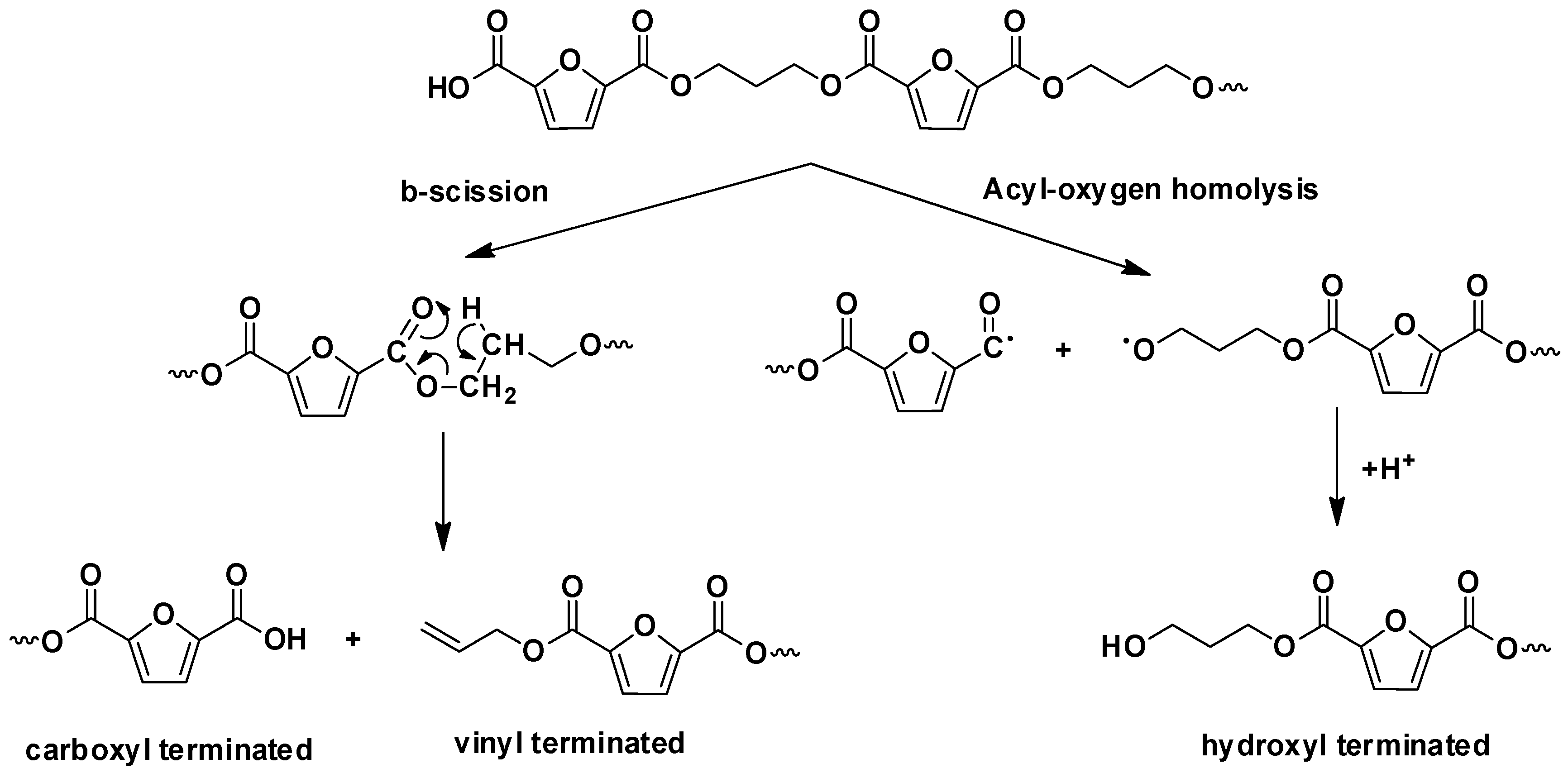 Polymers 10 00937 sch003