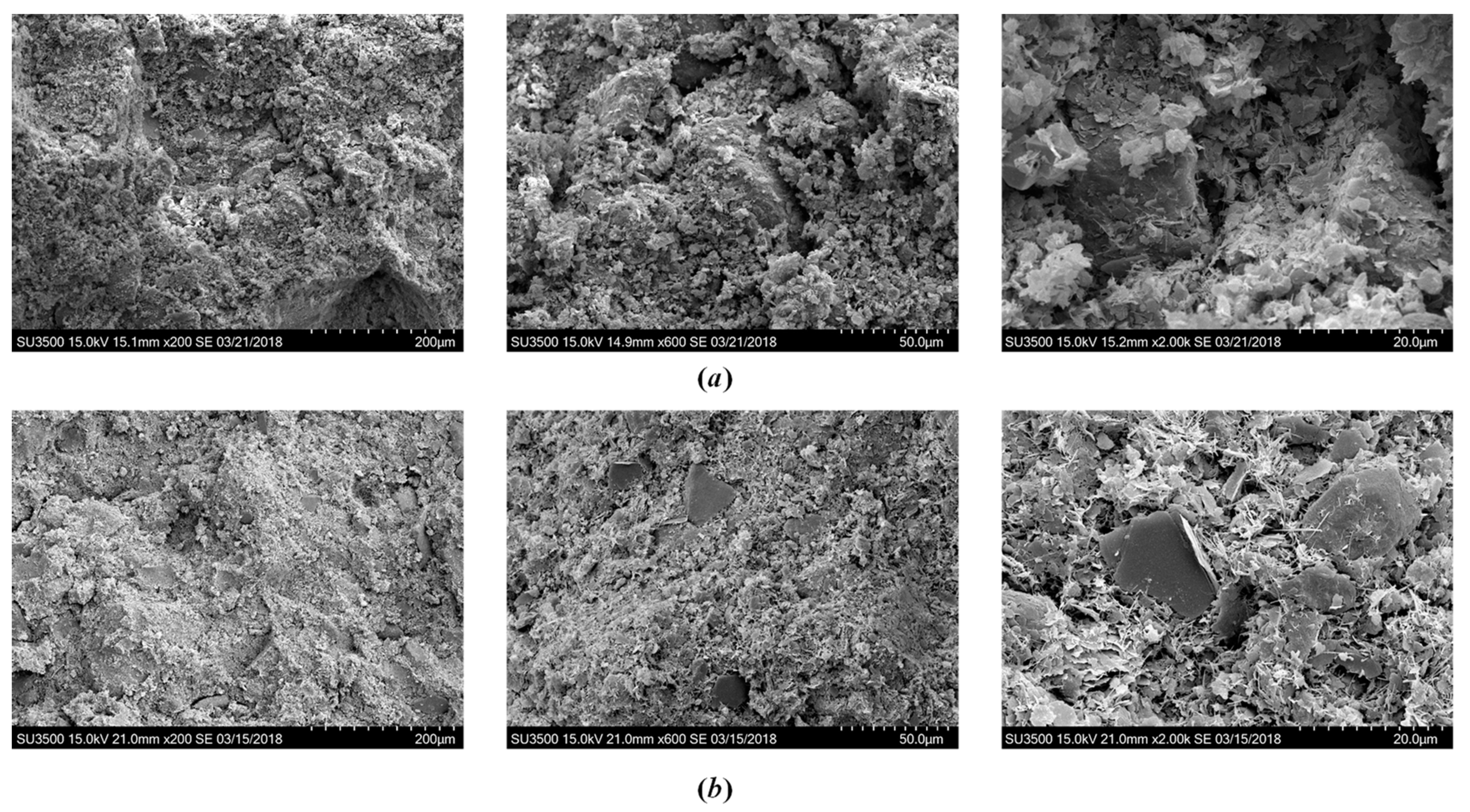 Polymers 10 01069 g011