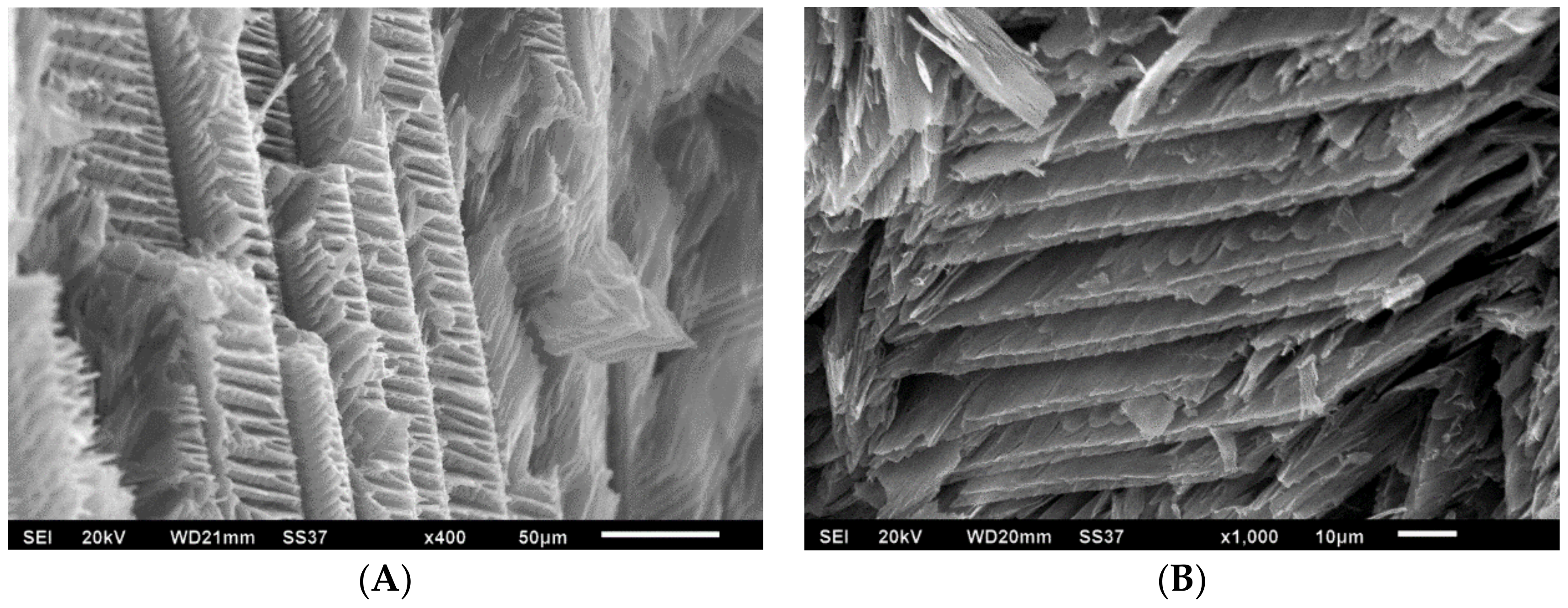 Polymers 10 01102 g003a