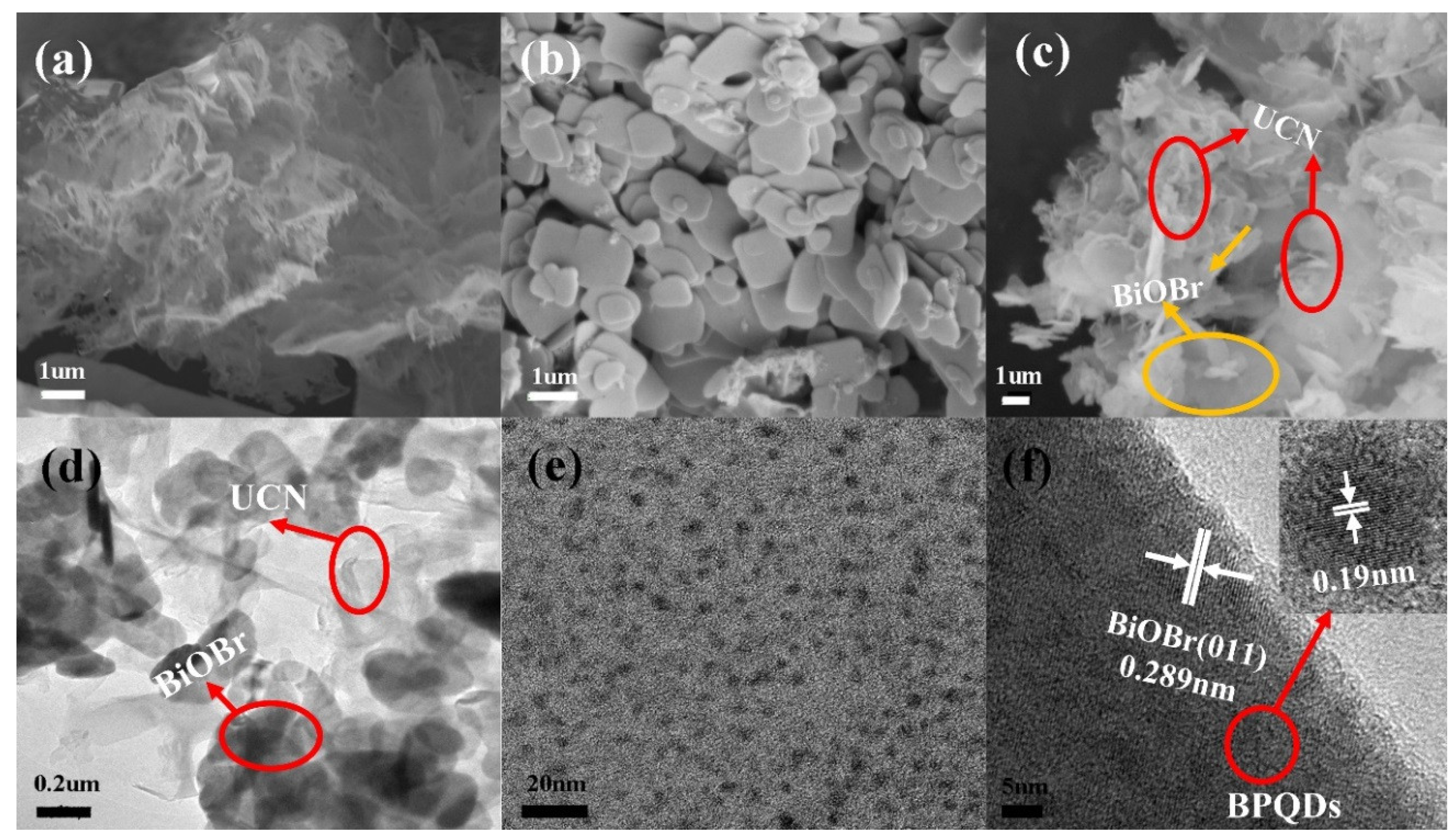 Polymers 10 01118 g002