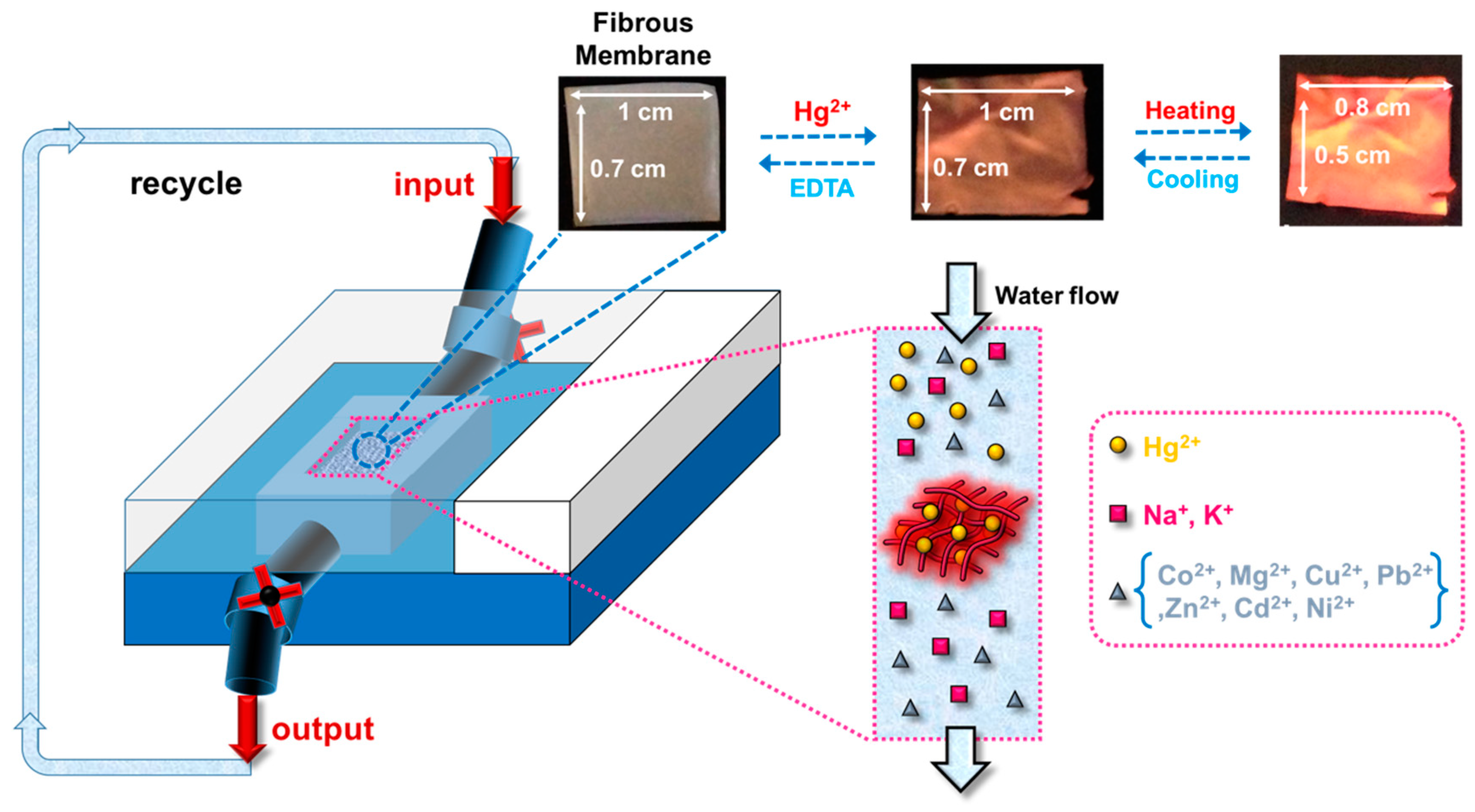 Polymers 10 01259 g007