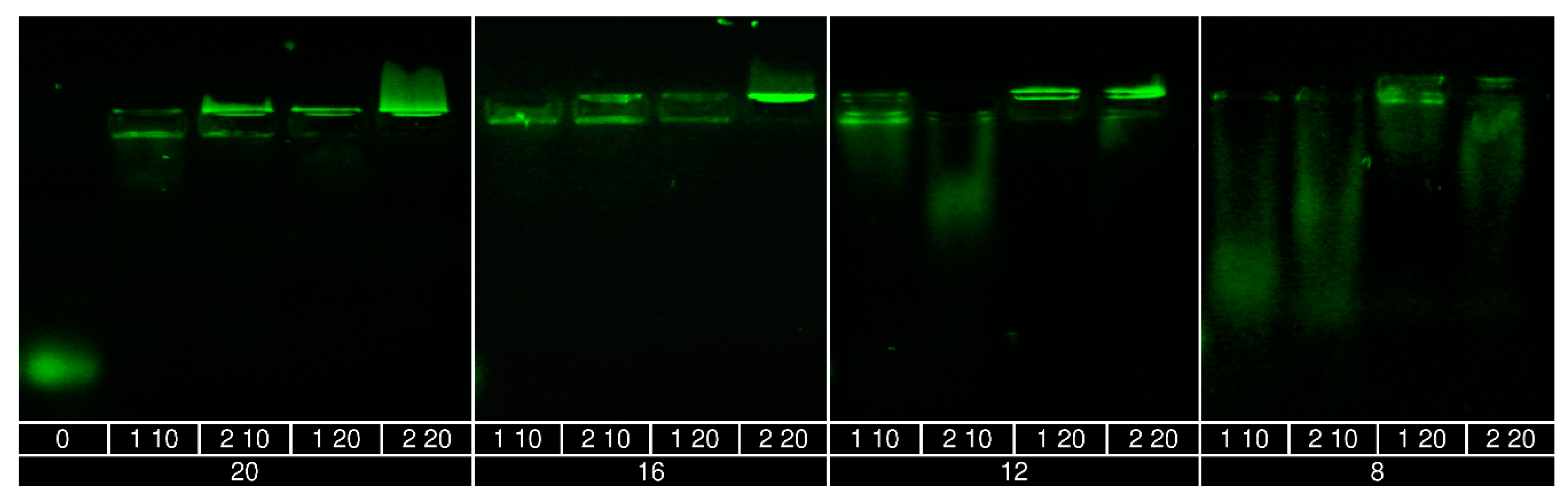 Polymers 10 01297 g002 Polymers 10 01297 g002