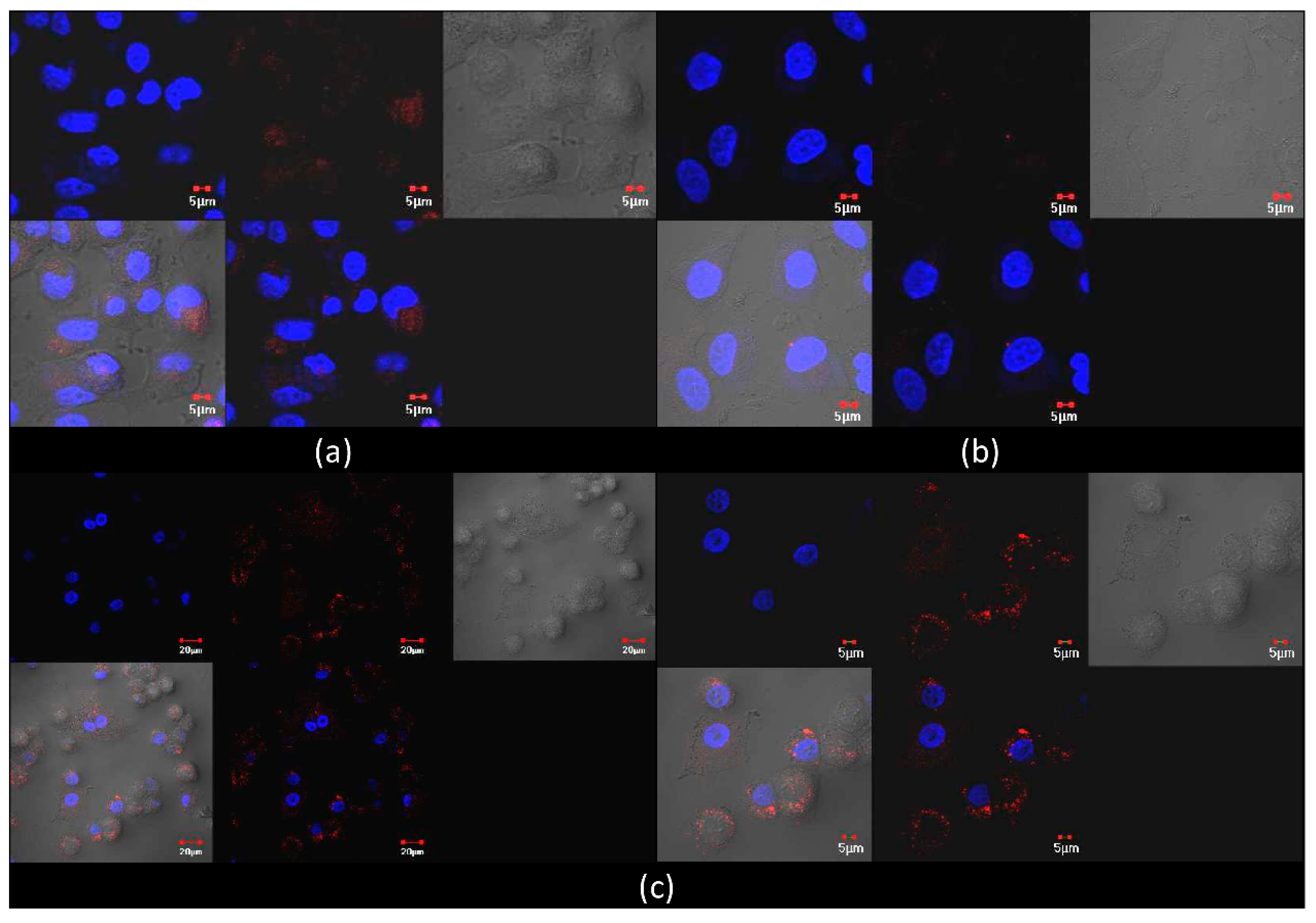 Polymers 10 01297 g008 Polymers 10 01297 g008