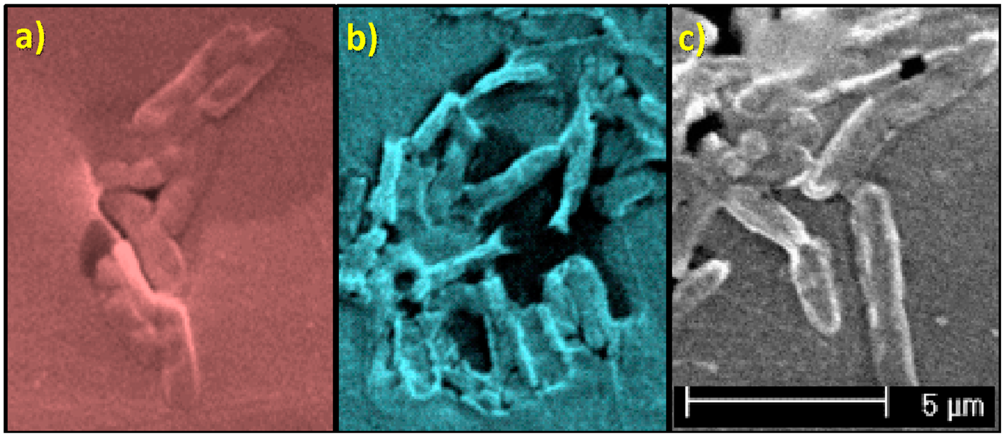 Polymers 10 01365 g007