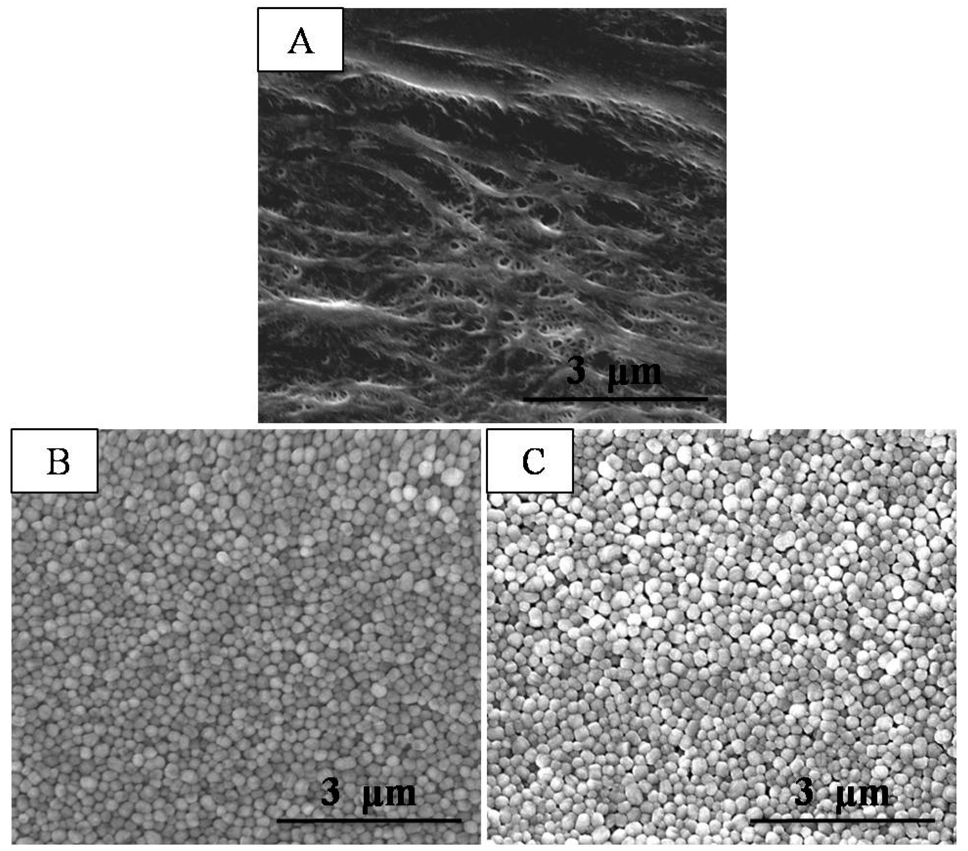 Polymers 10 01409 g002