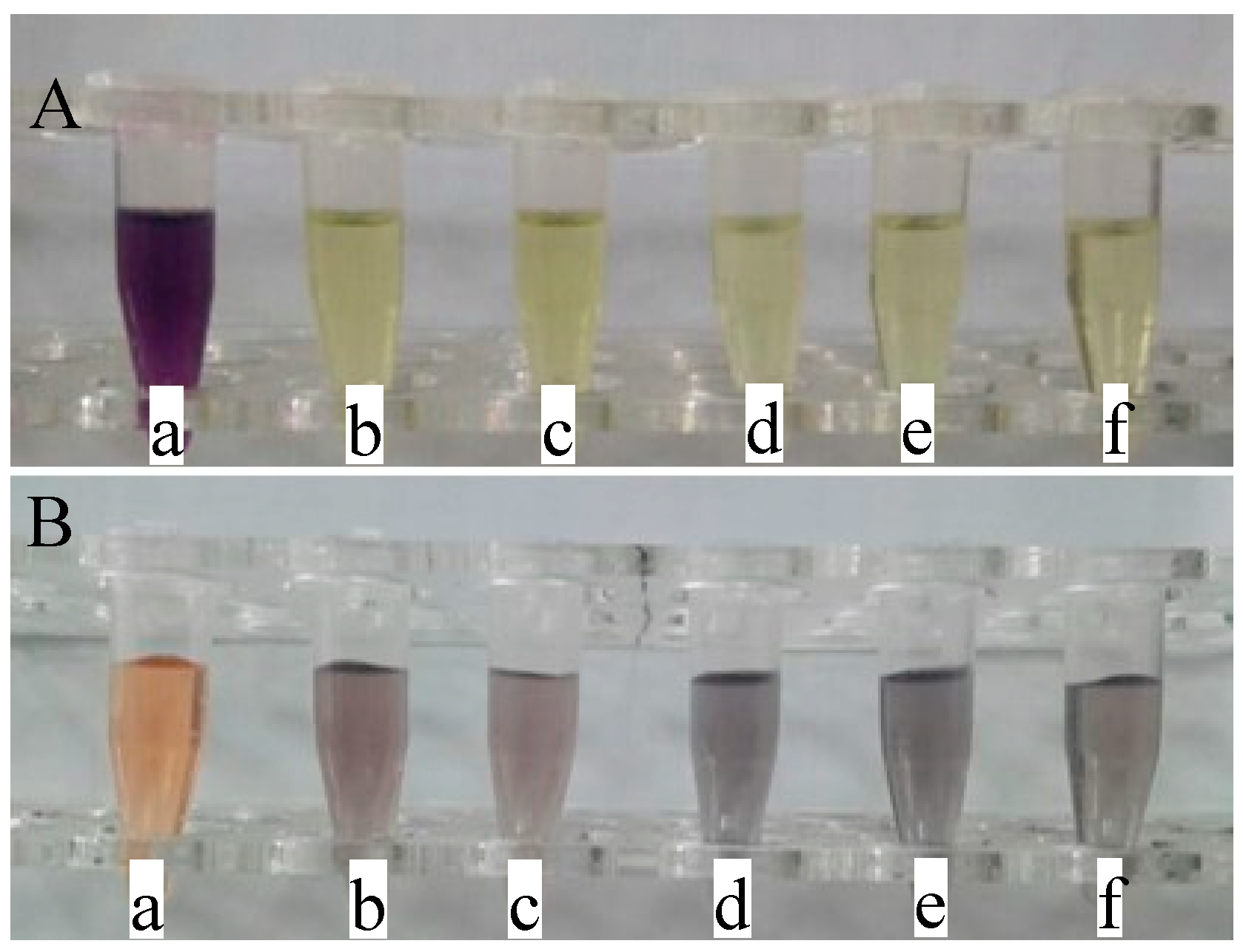 Polymers 11 00057 g007
