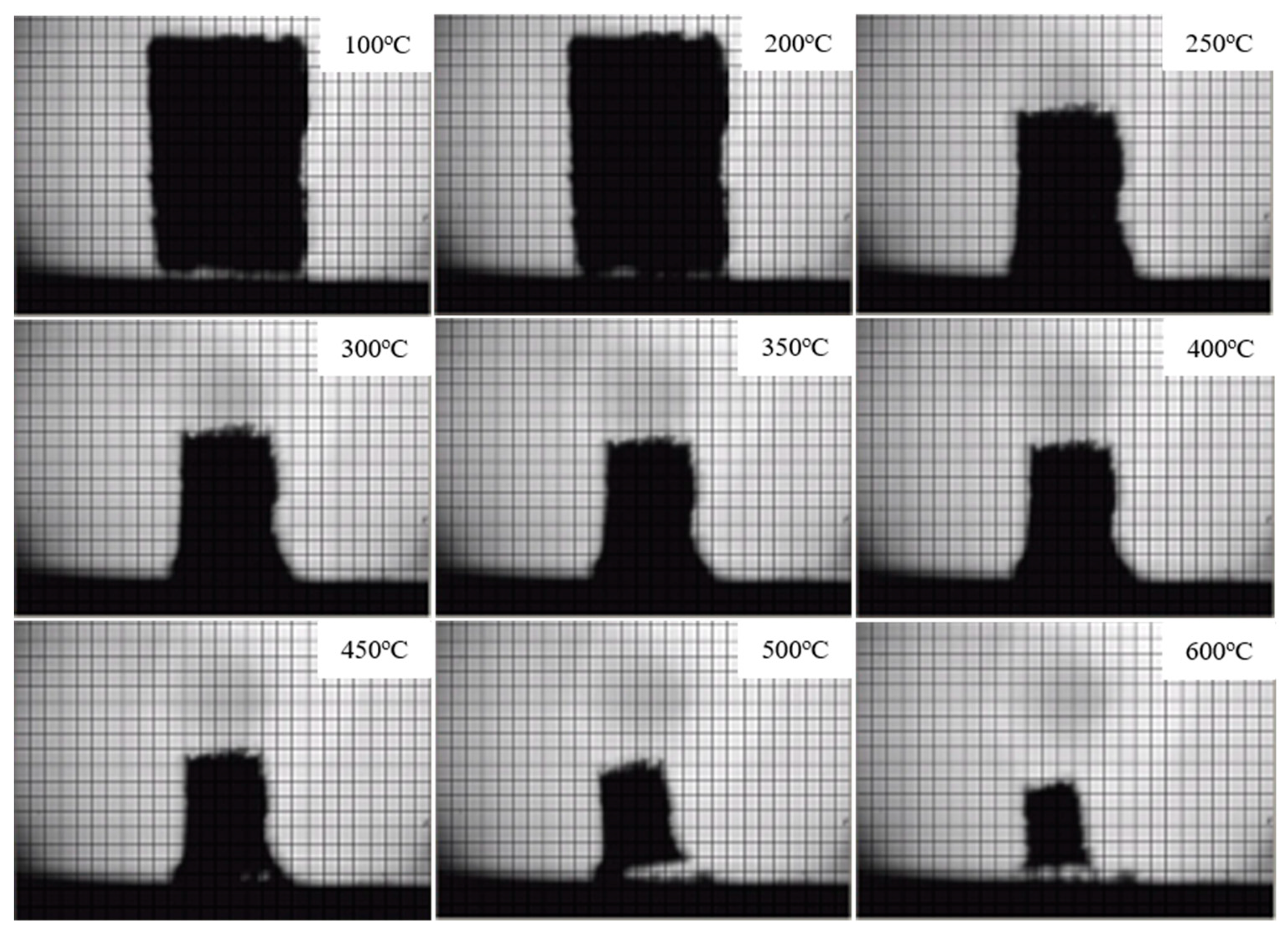 Polymers 11 00075 g009