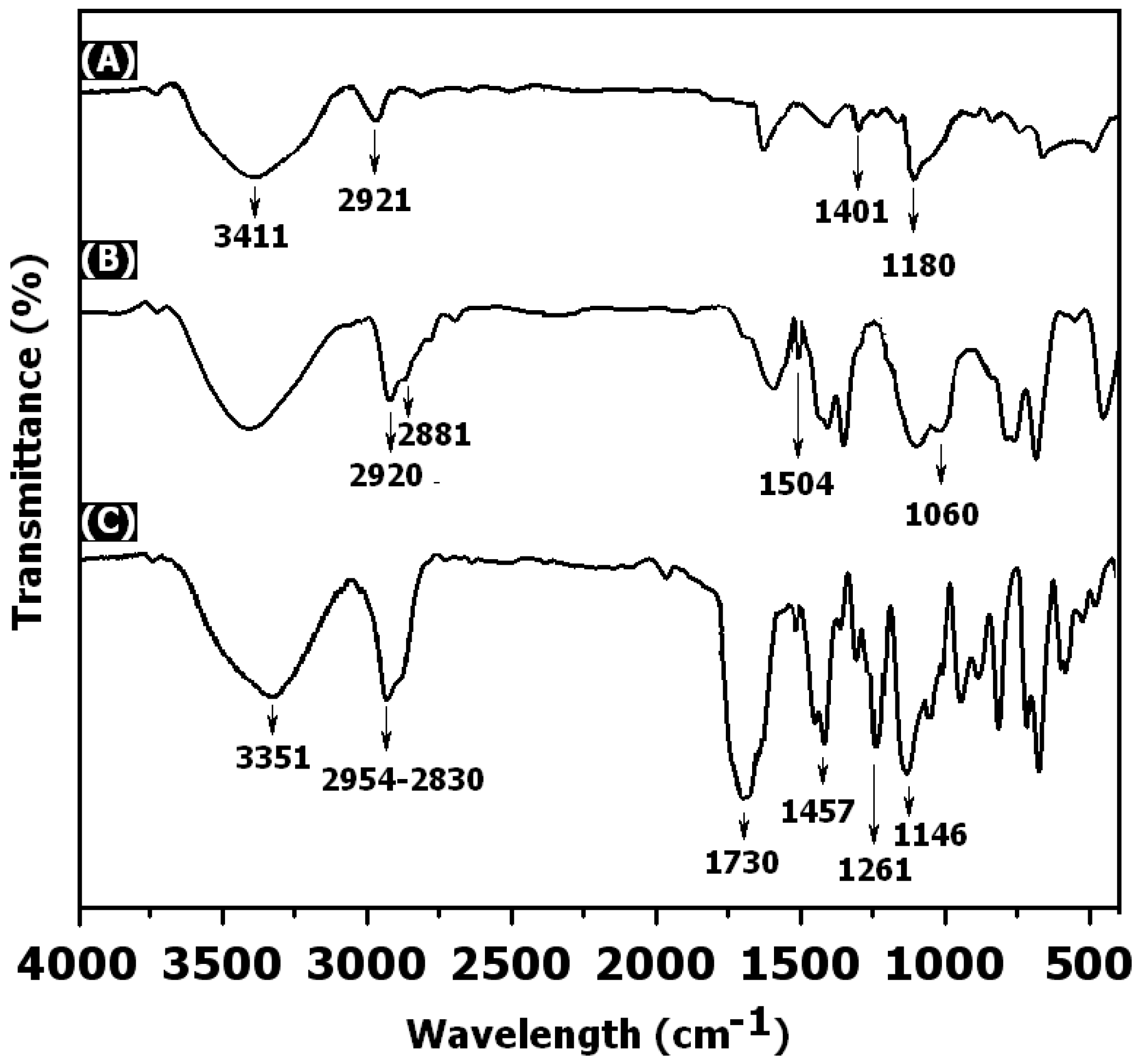 Polymers 11 00077 g001 Polymers 11 00077 g001