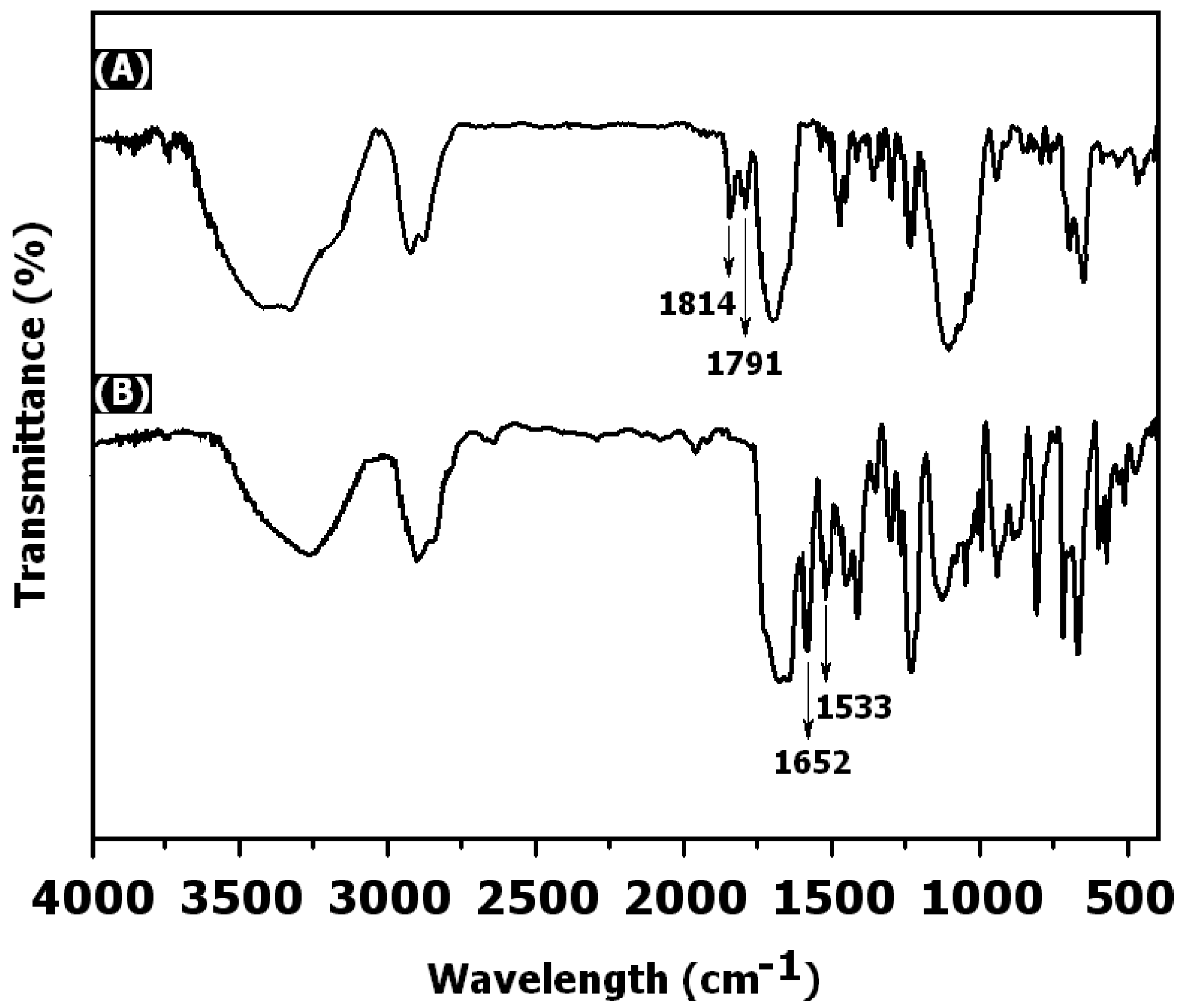 Polymers 11 00077 g004 Polymers 11 00077 g004
