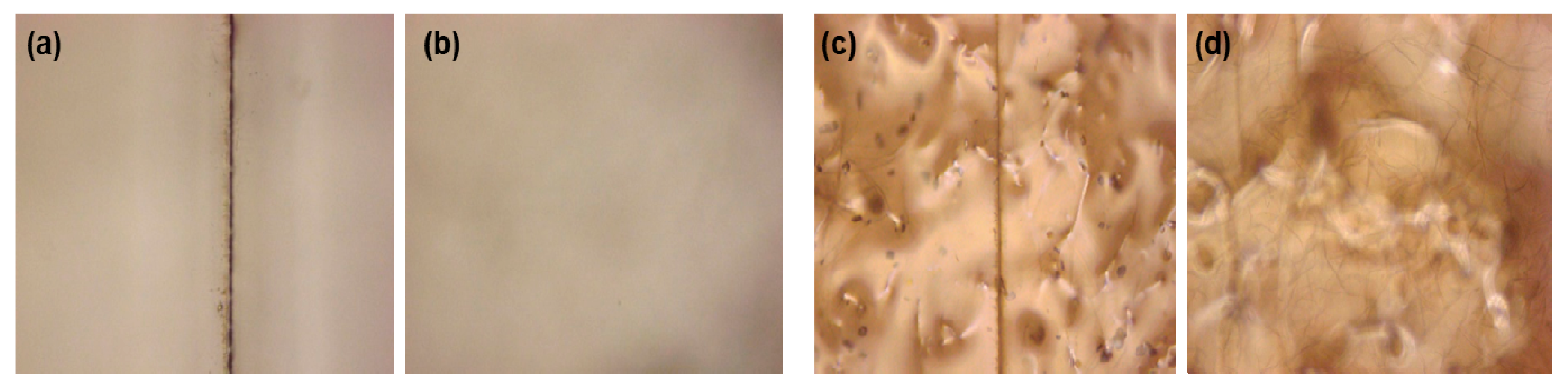 Polymers 11 00117 g002