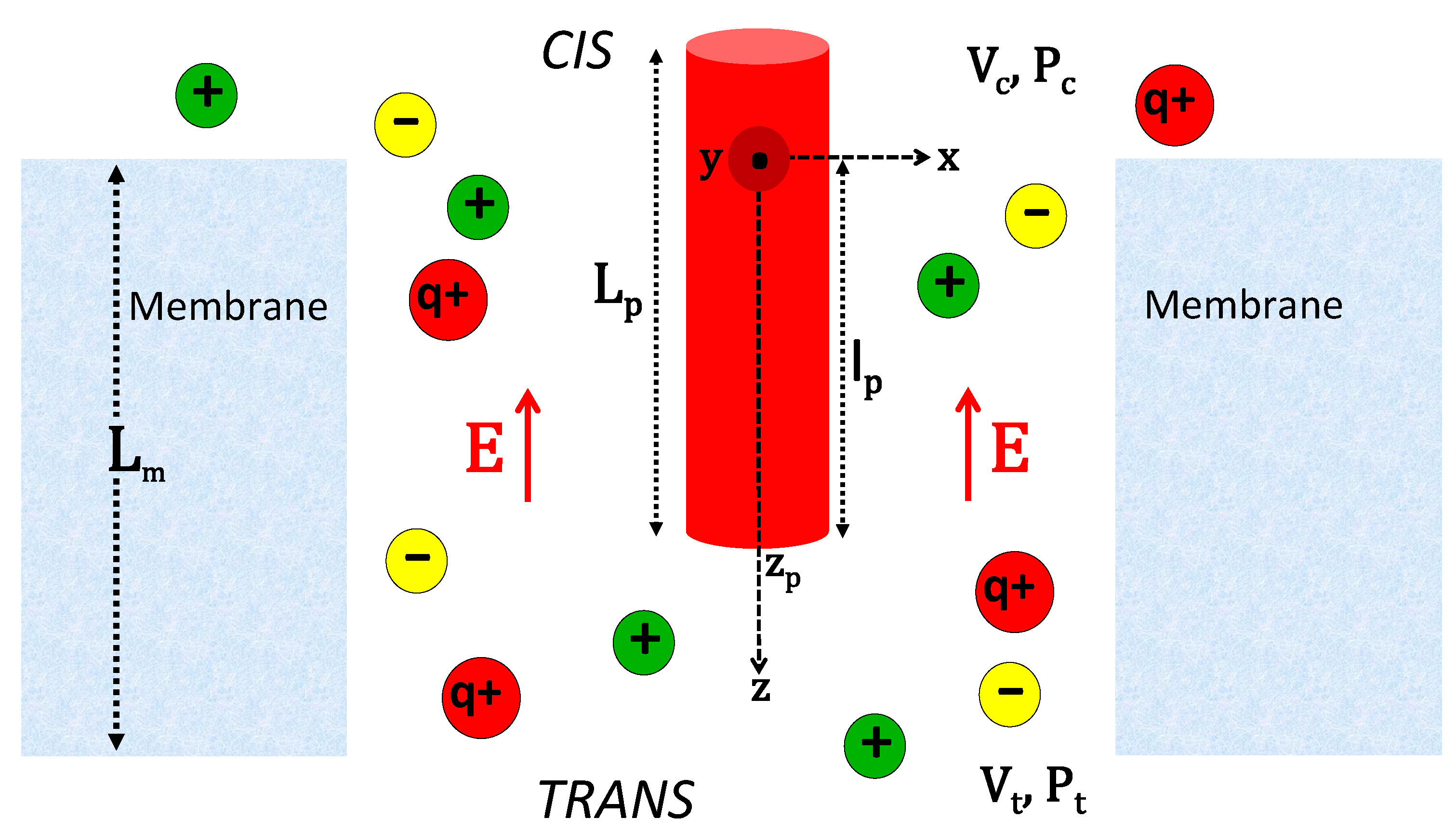 Polymers 11 00118 g001