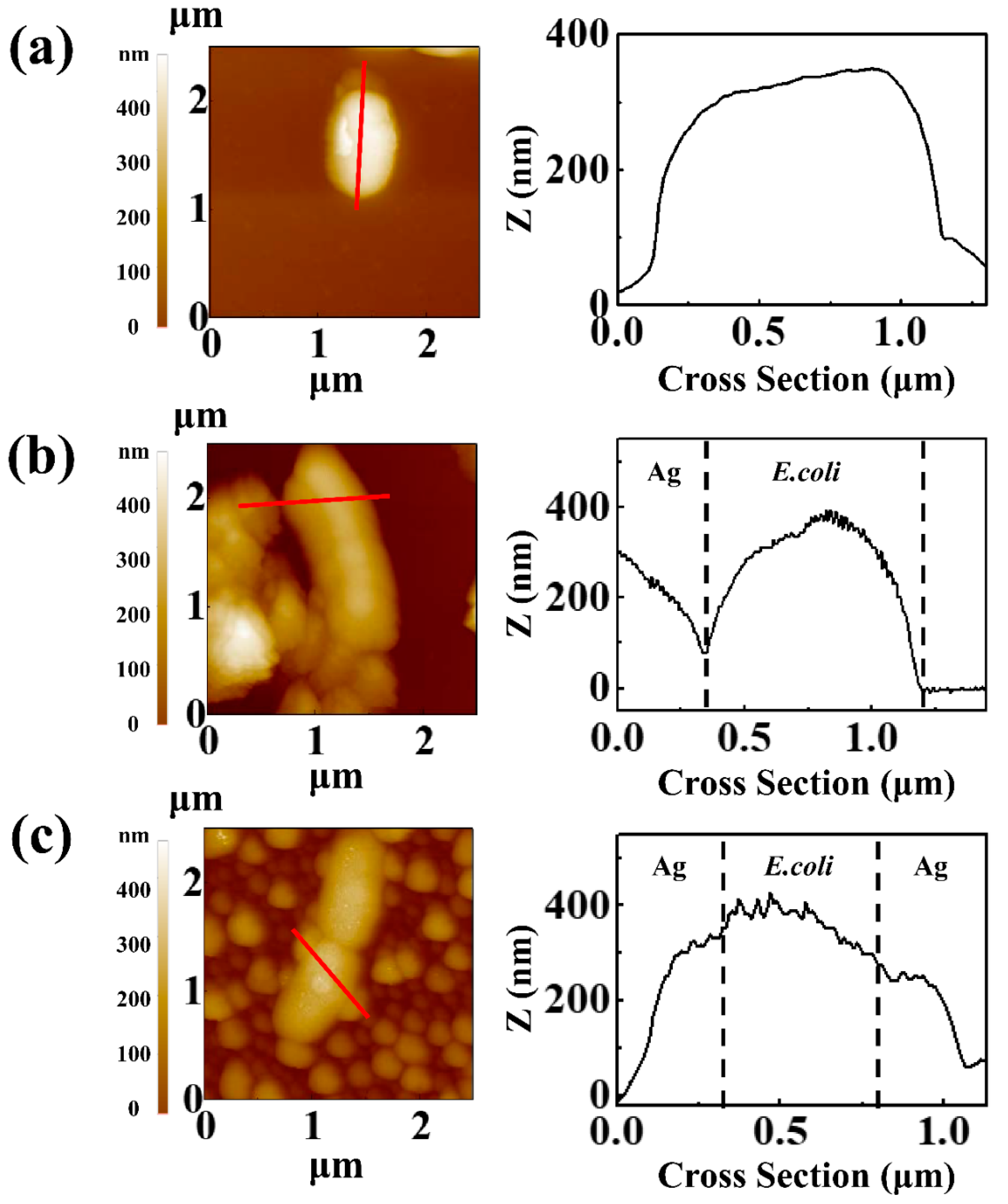 Polymers 11 00155 g006