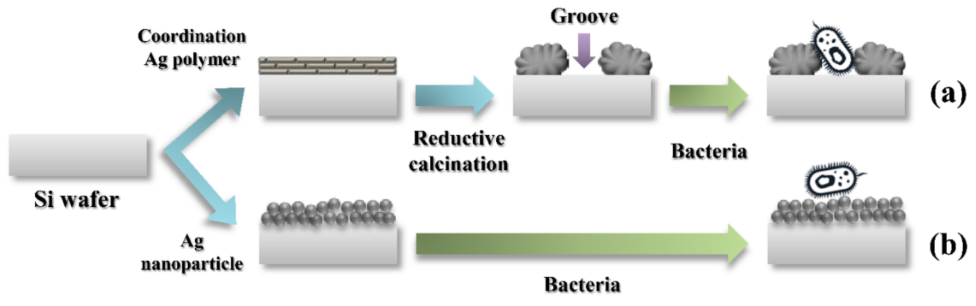 Polymers 11 00155 sch001