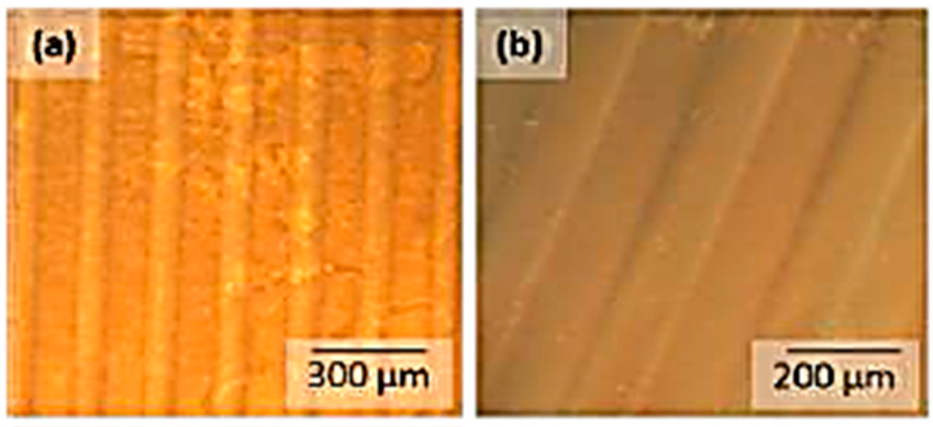 Polymers 11 00169 g014