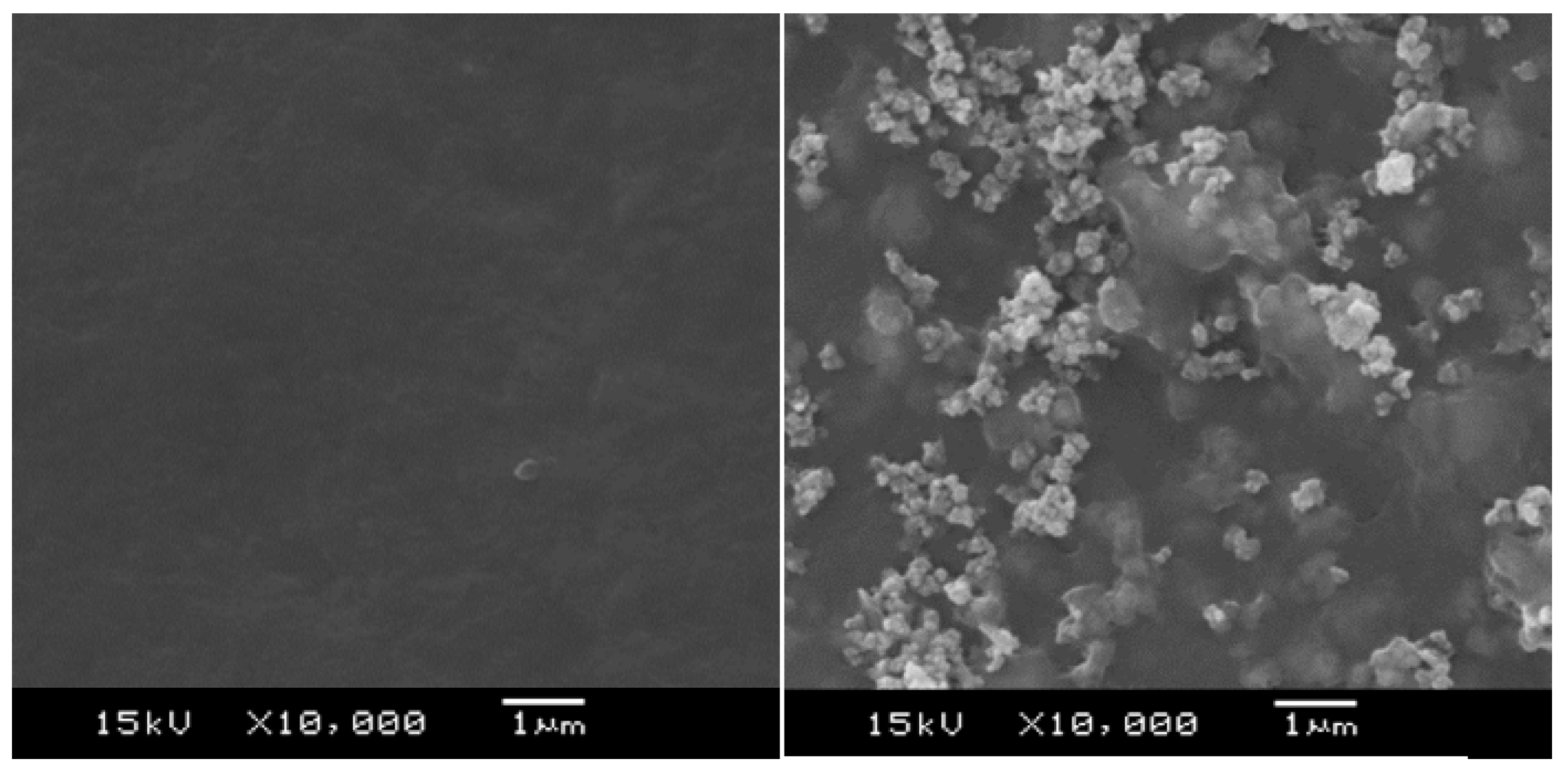Polymers 11 00179 g007