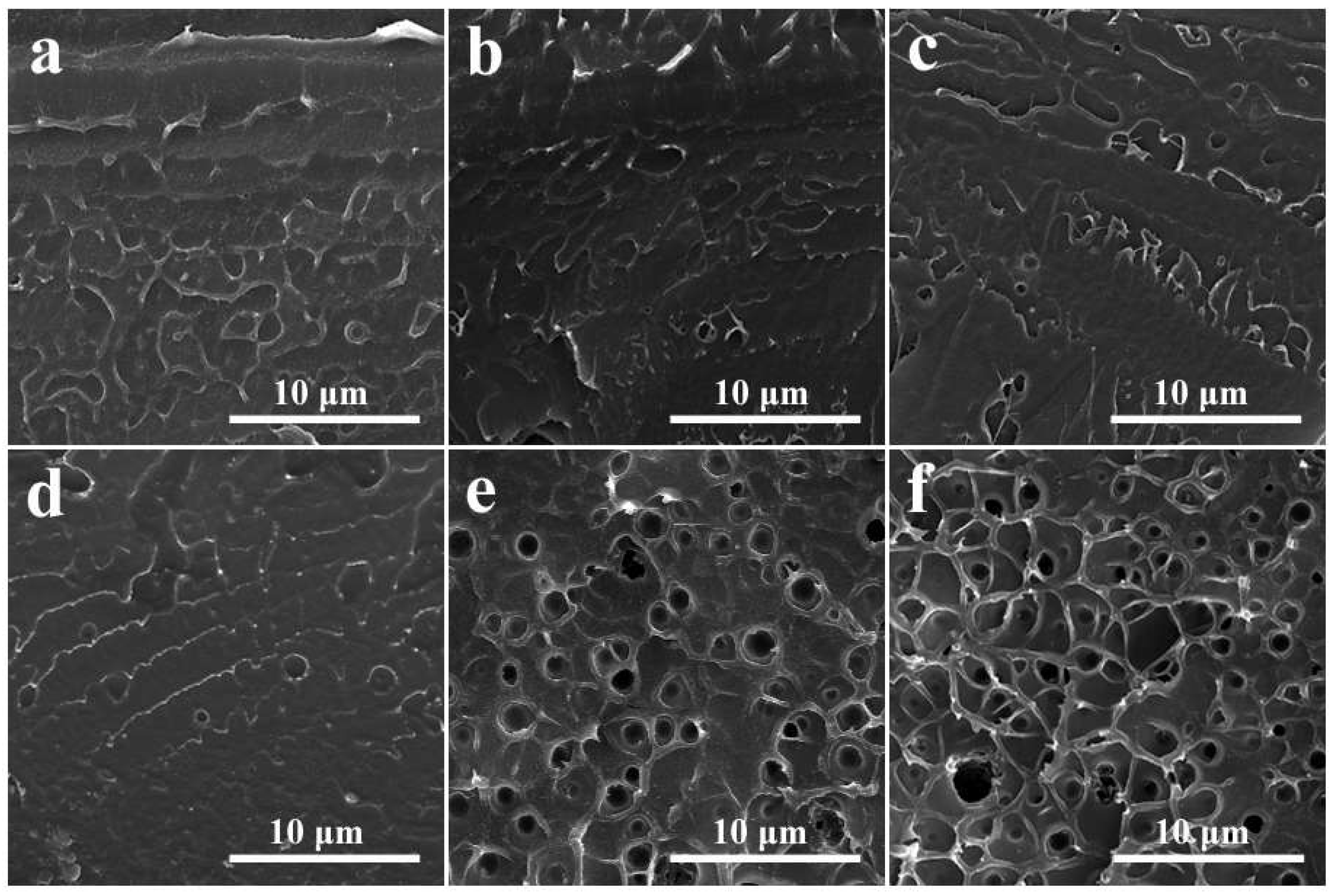 Polymers 11 00203 g002