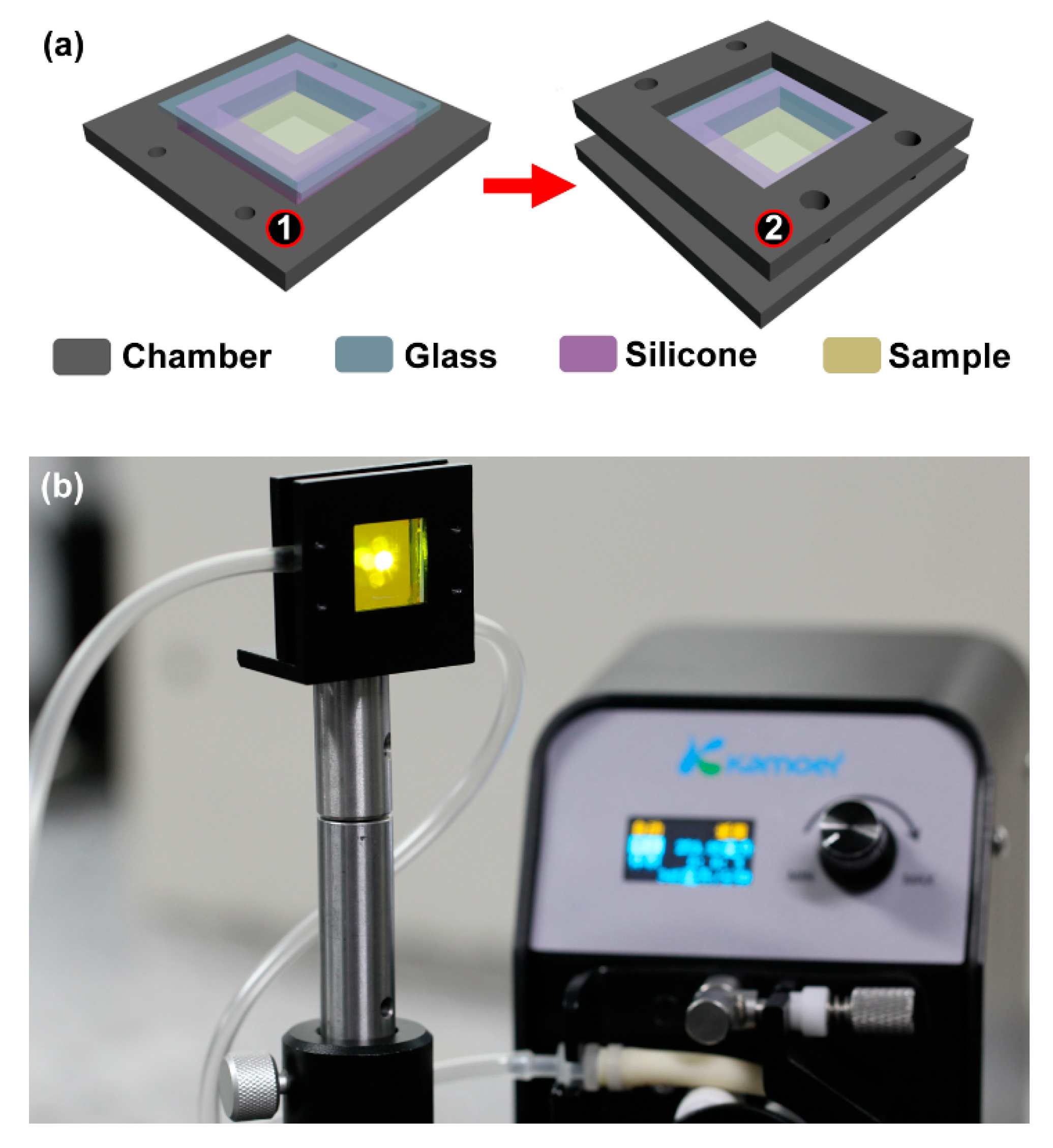 Polymers 11 00329 g002