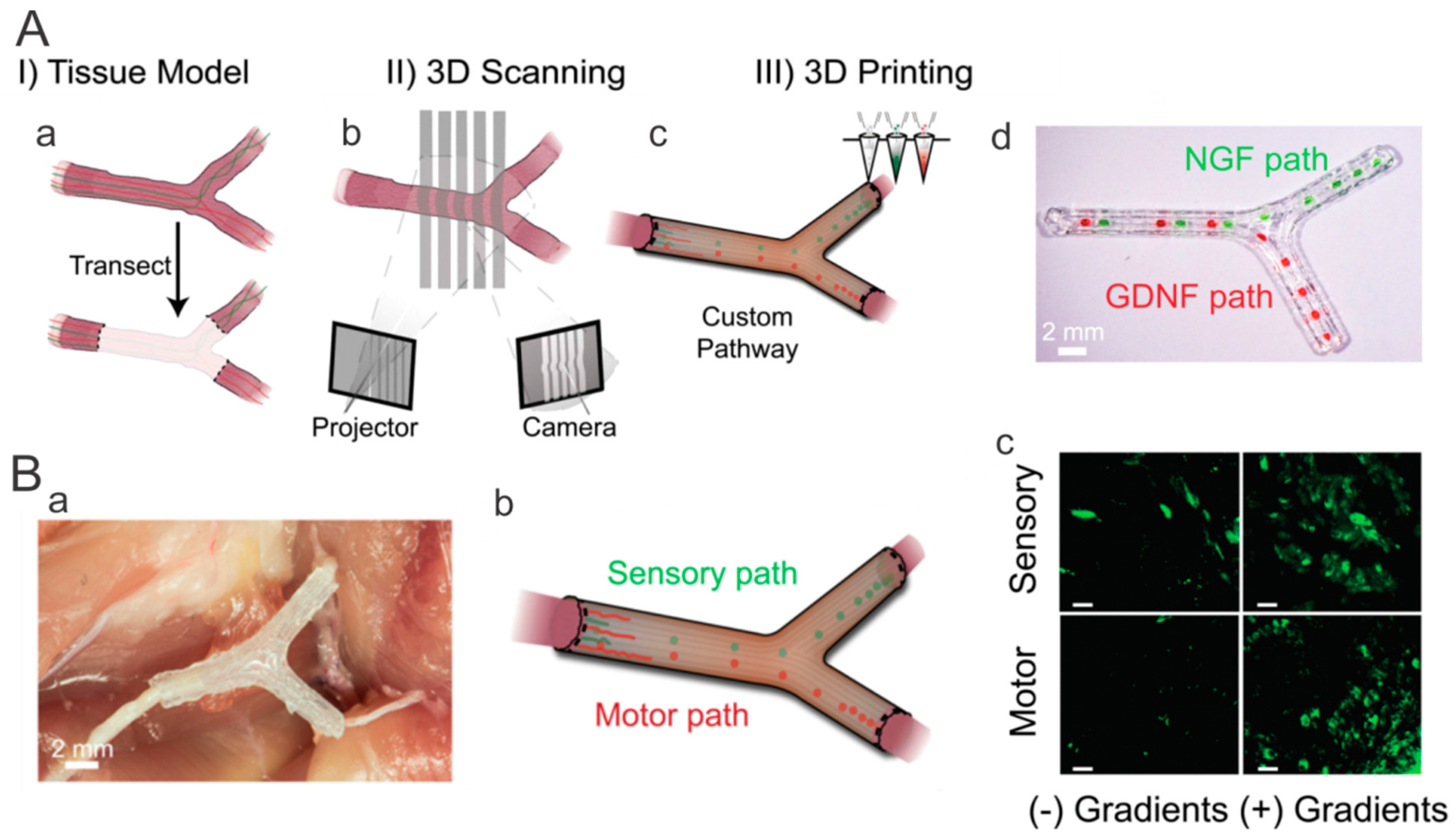 Polymers 11 00341 g009