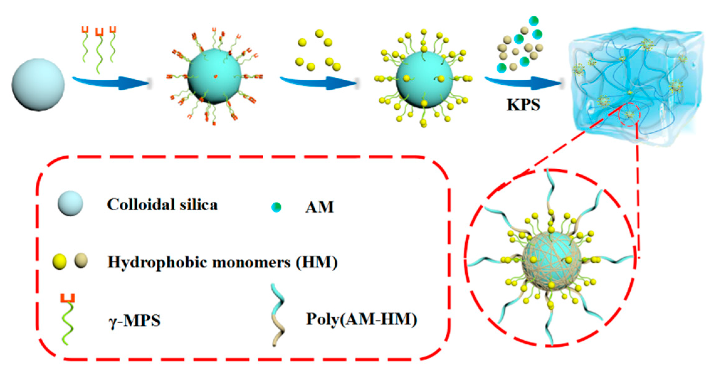 Polymers 11 00352 sch001