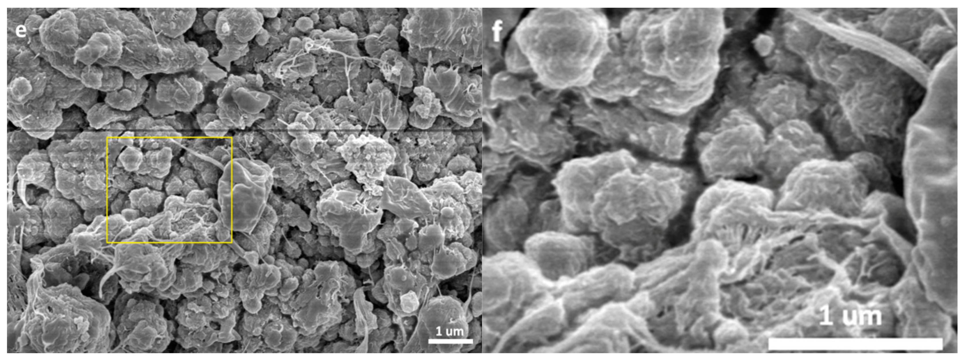 Polymers 11 00358 g003b