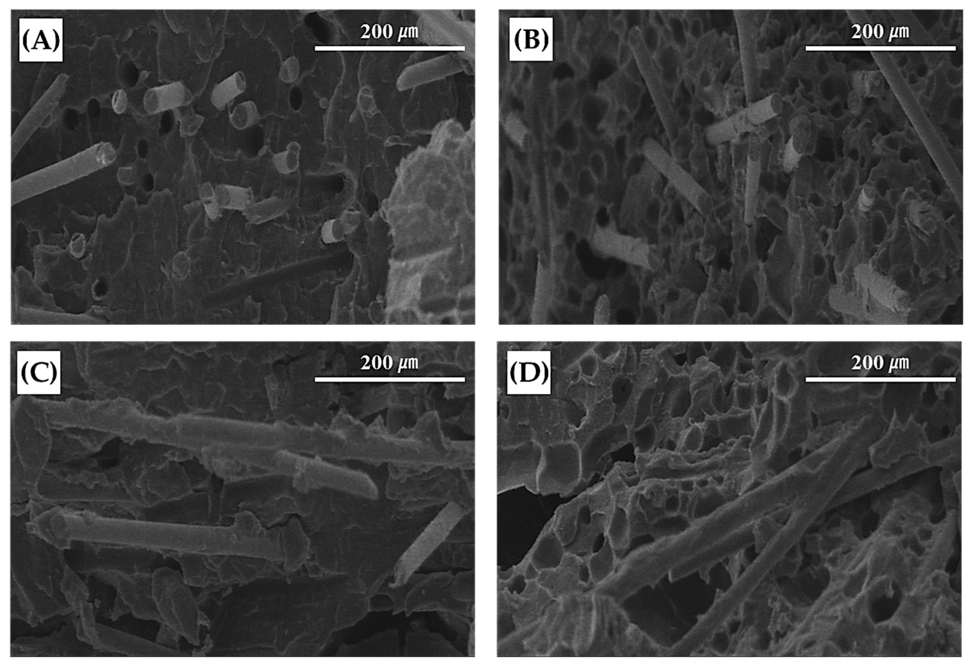 Polymers 11 00360 g005