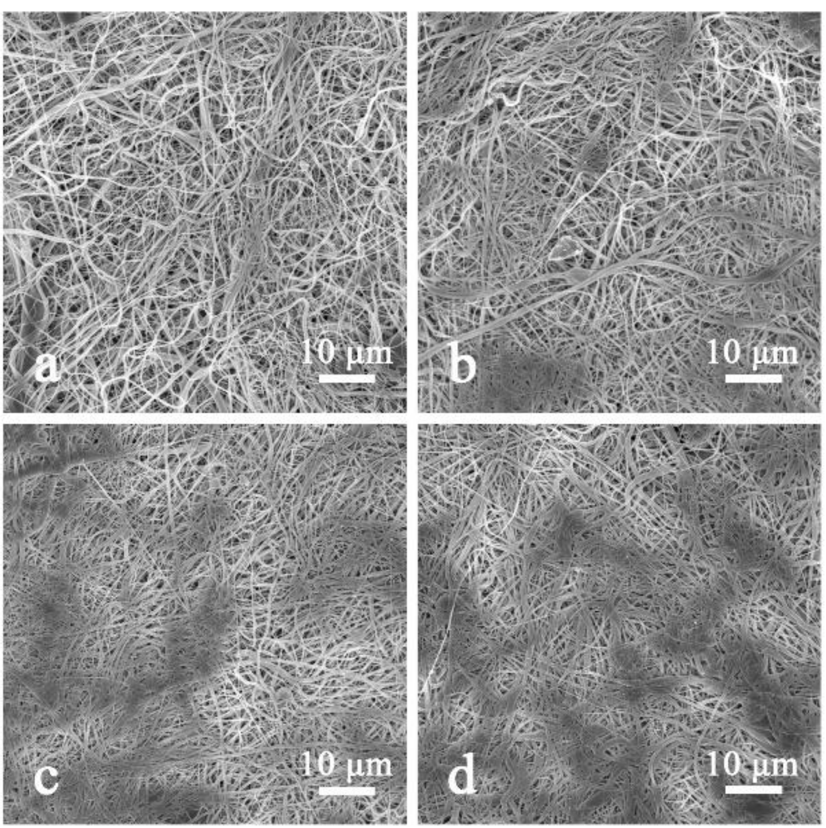 Polymers 11 00364 g003