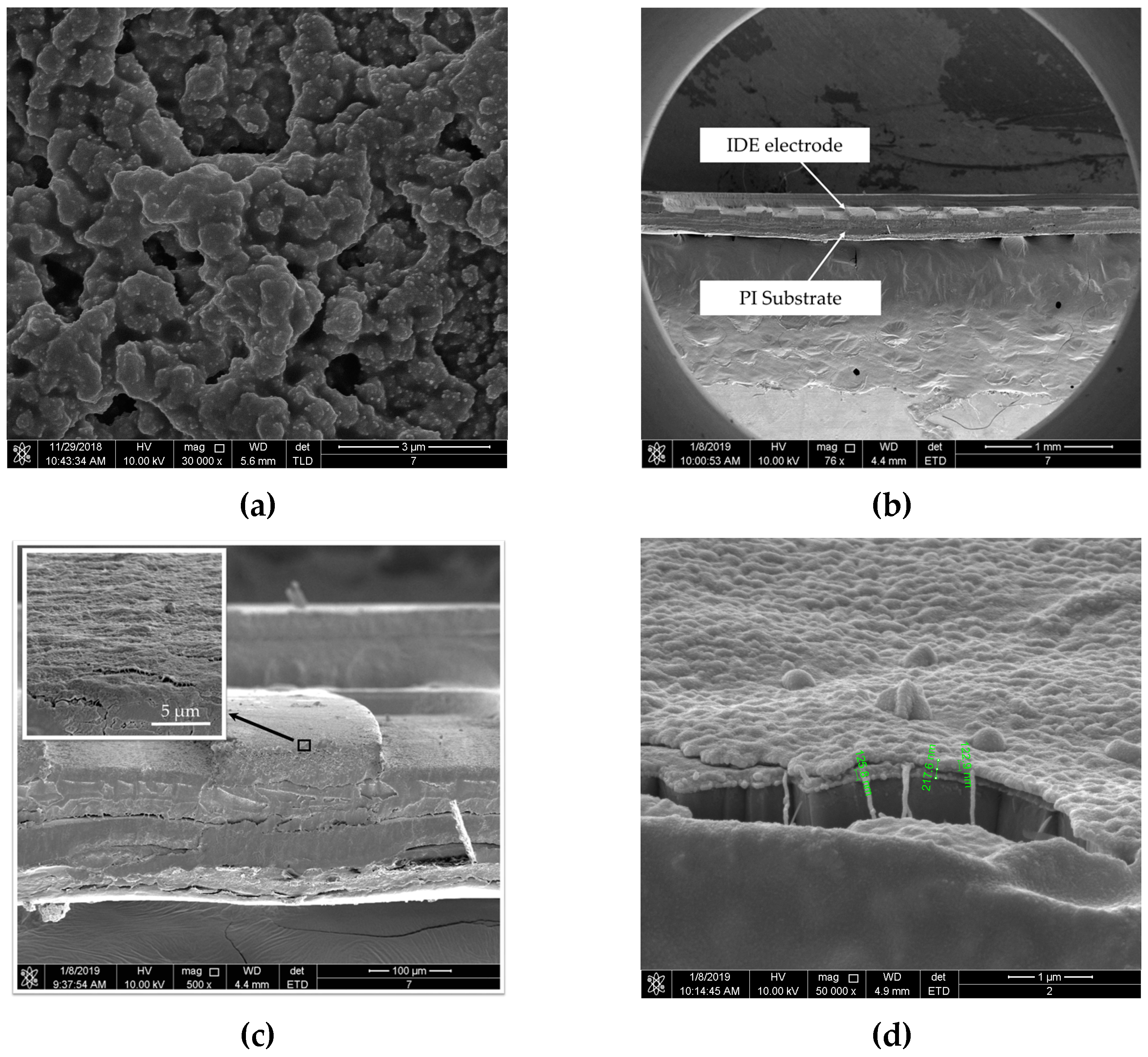 Polymers 11 00423 g009