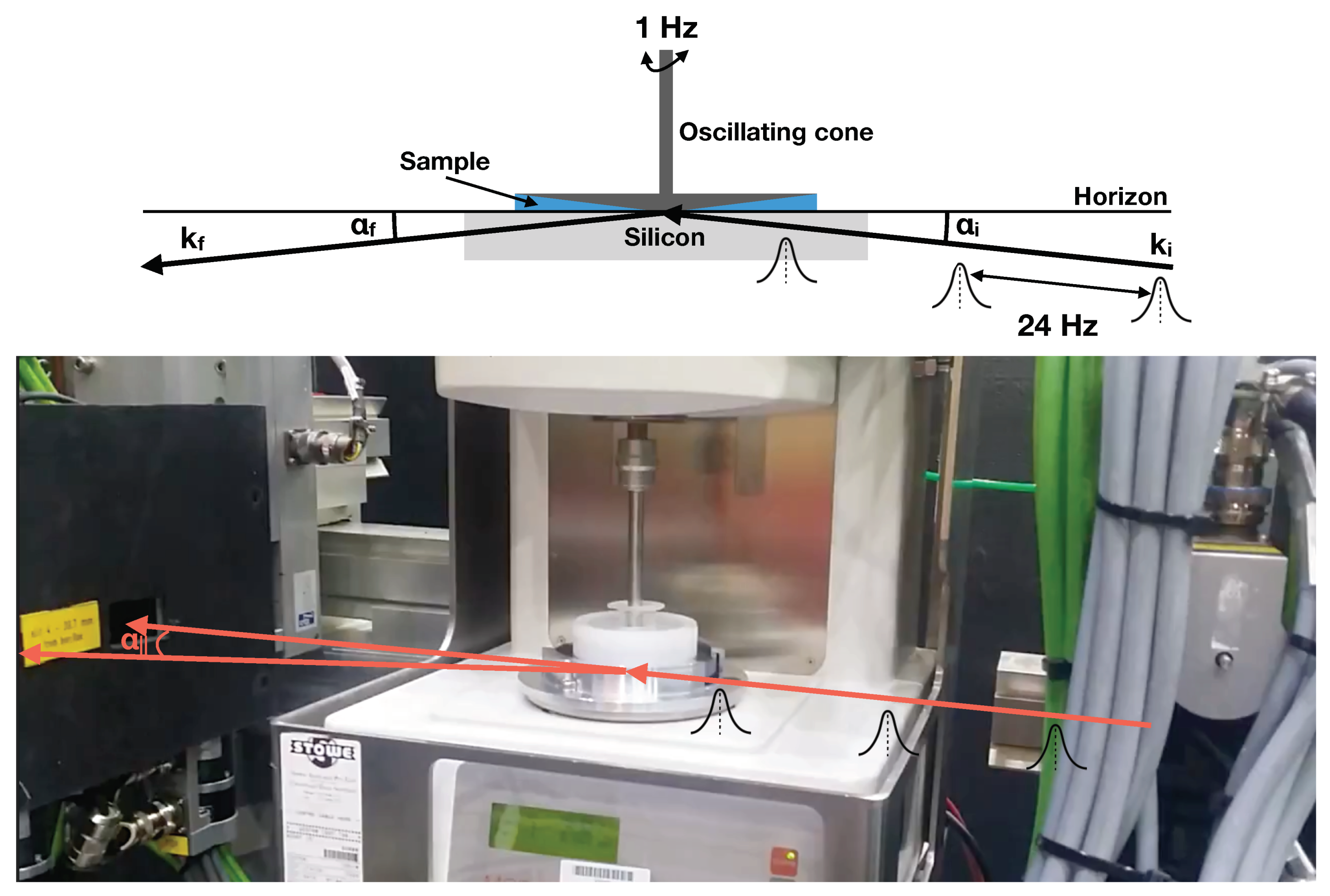 Polymers 11 00445 g001
