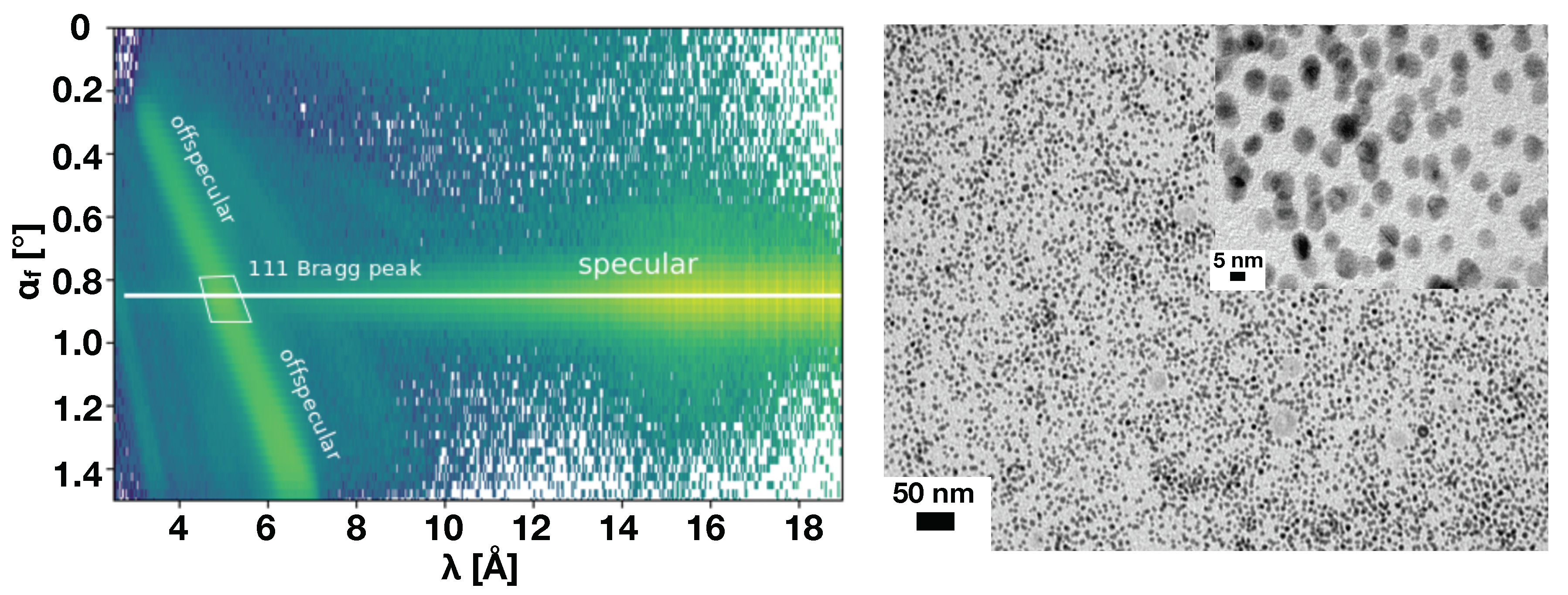 Polymers 11 00445 g002