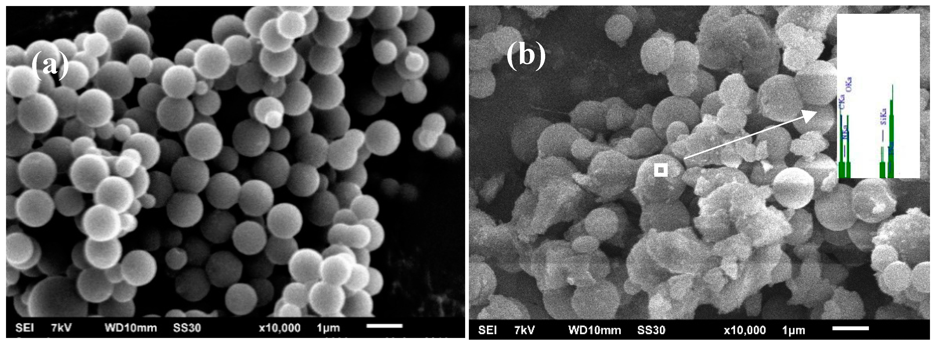 Polymers 11 00545 g001