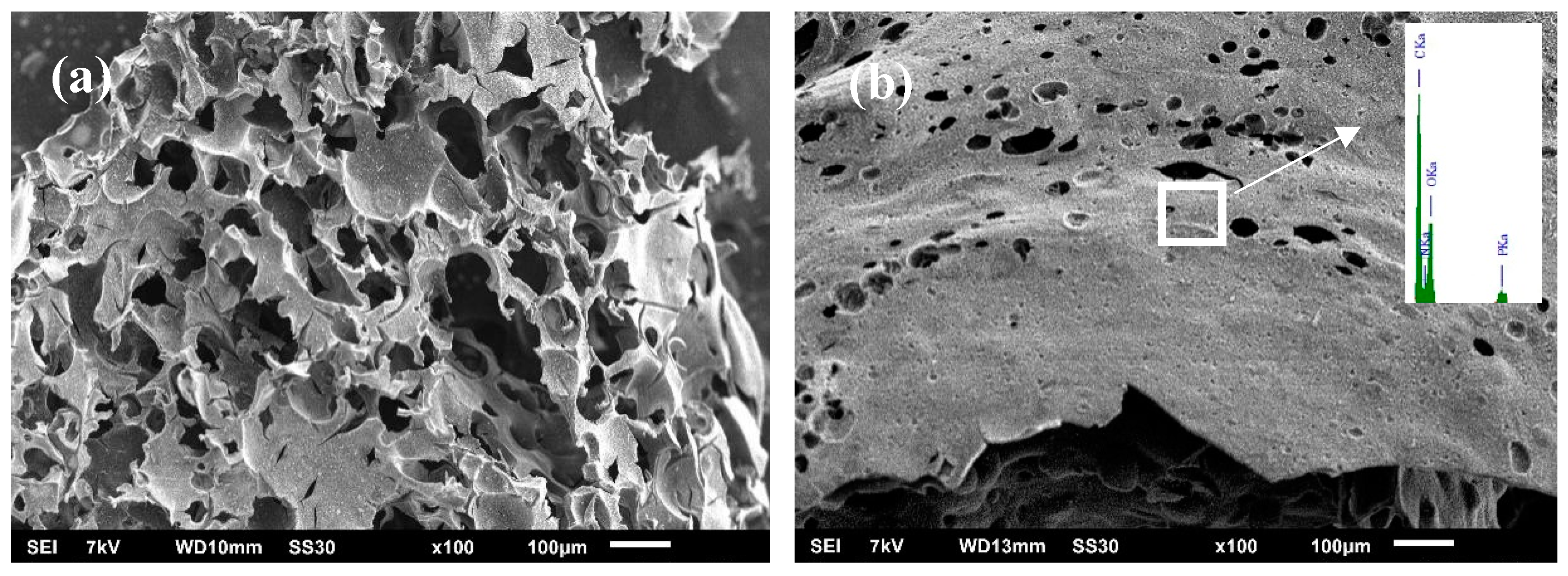Polymers 11 00545 g010