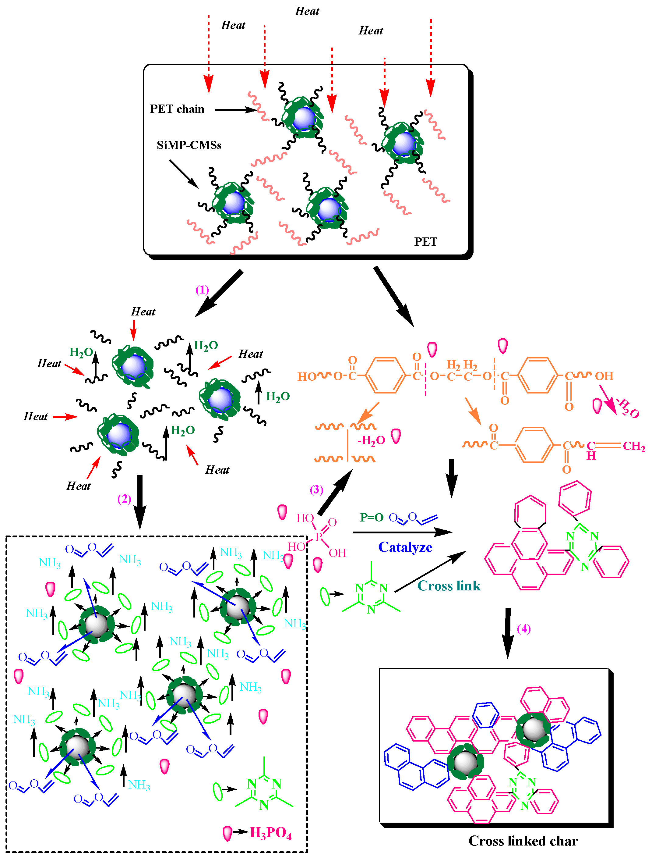 Polymers 11 00545 g011
