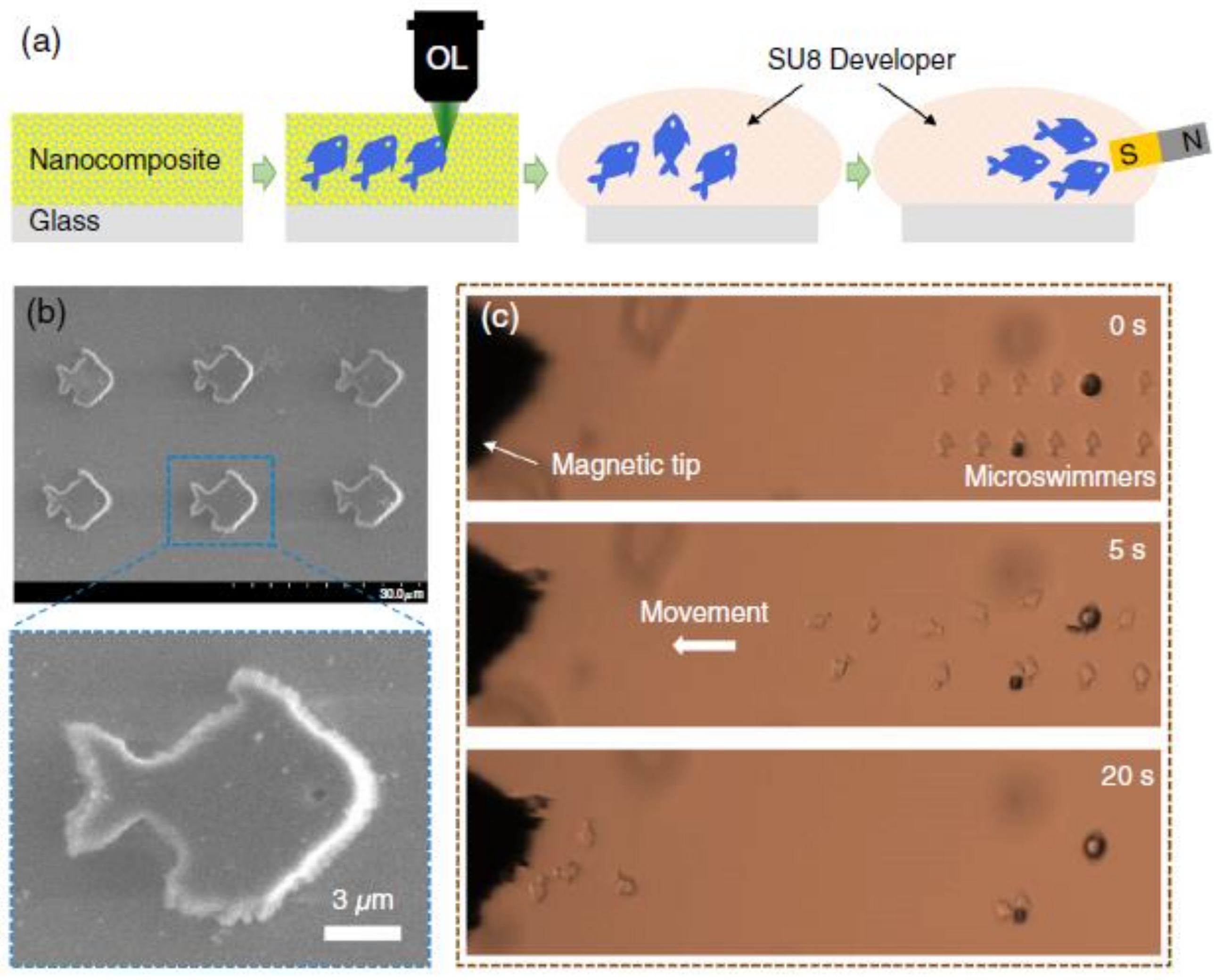 Polymers 11 00553 g019