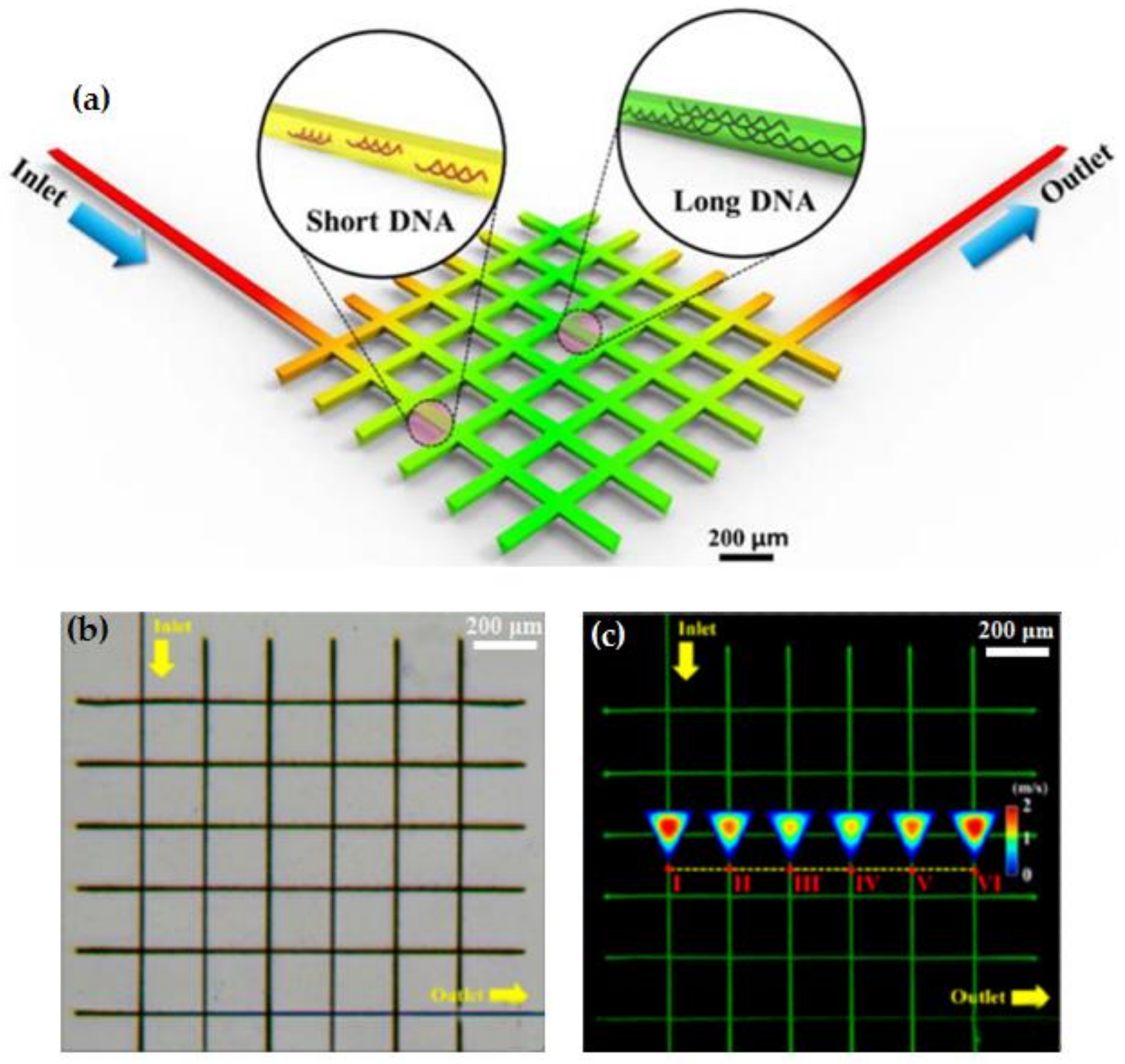 Polymers 11 00553 g020