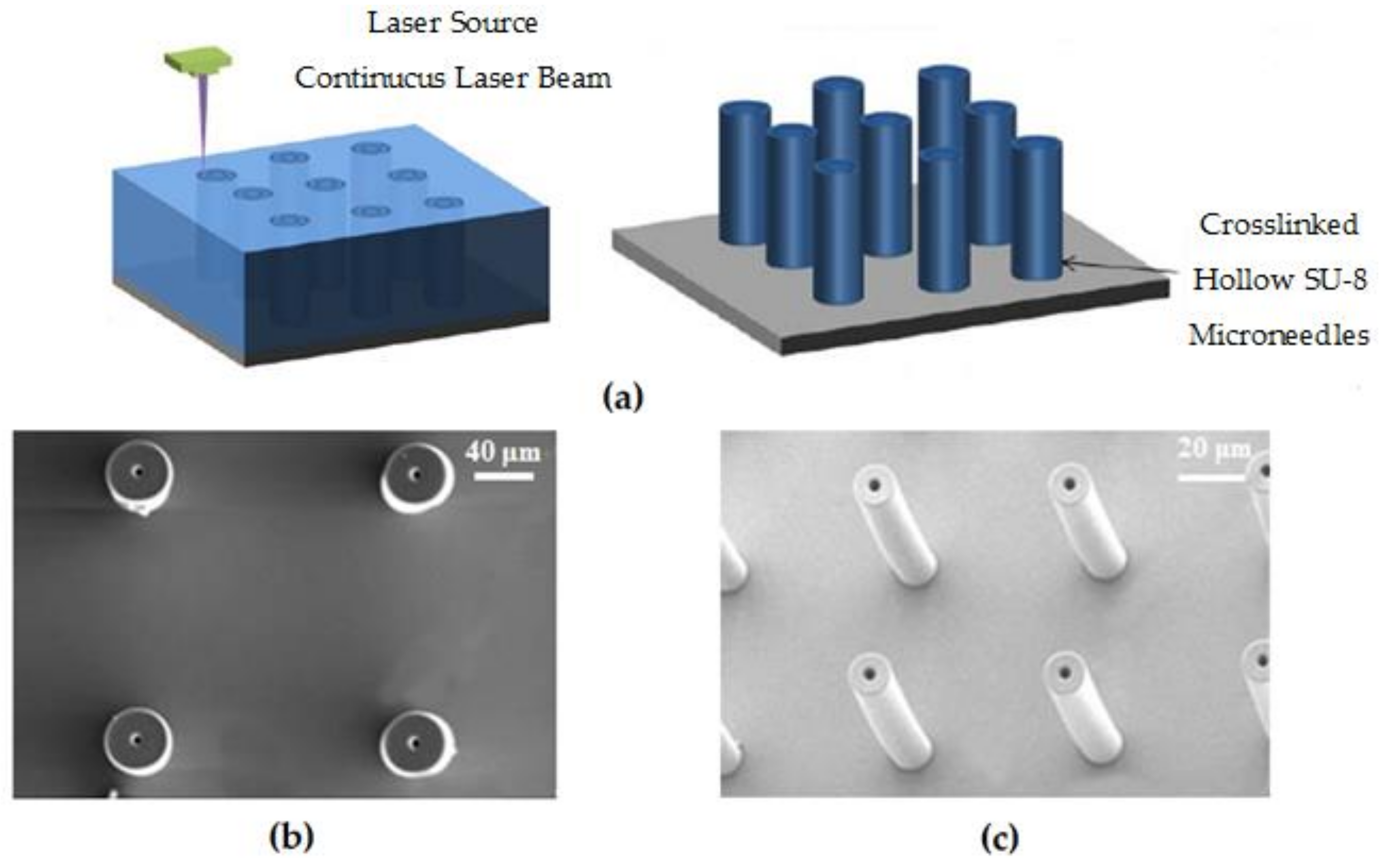 Polymers 11 00553 g023