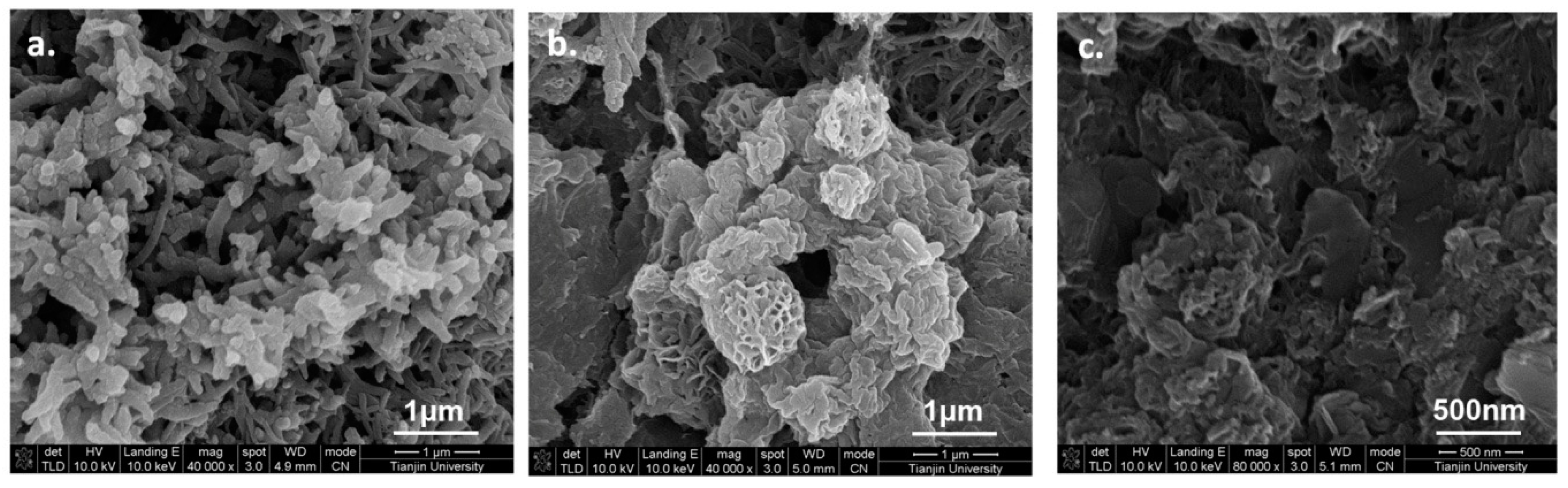 Polymers 11 00681 g003