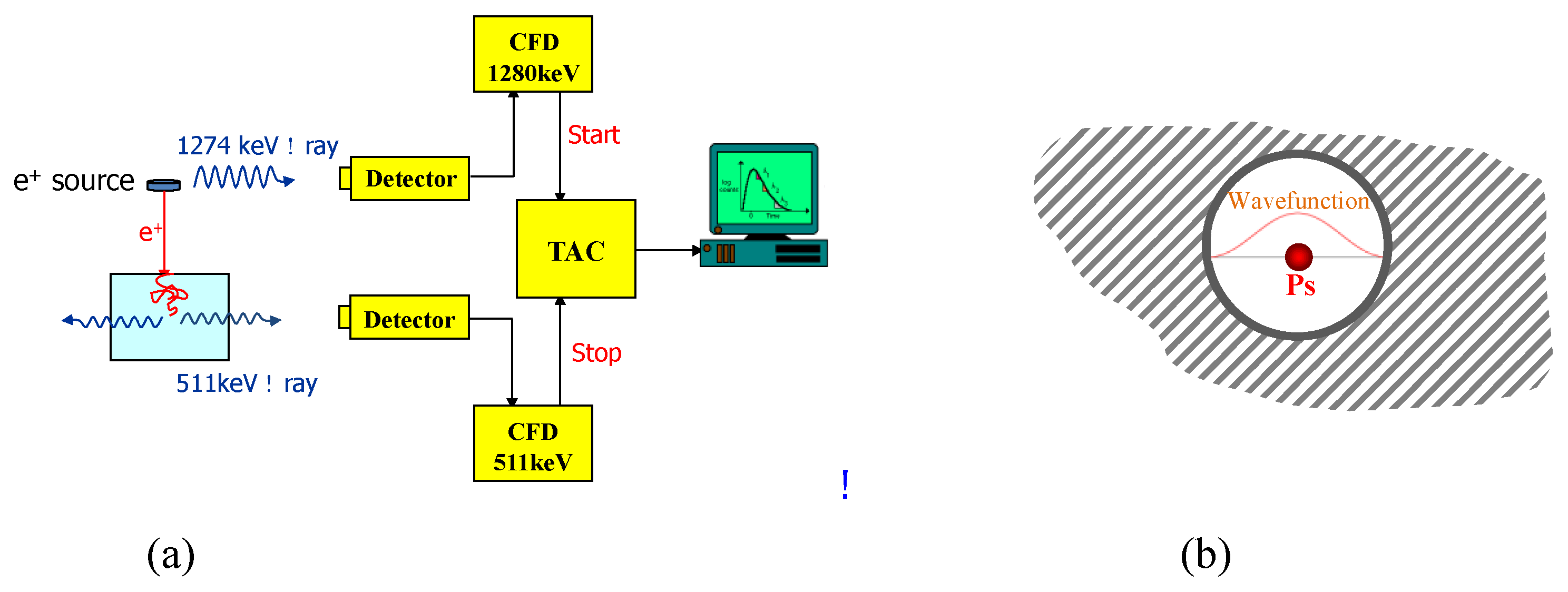 Polymers 11 00690 g013