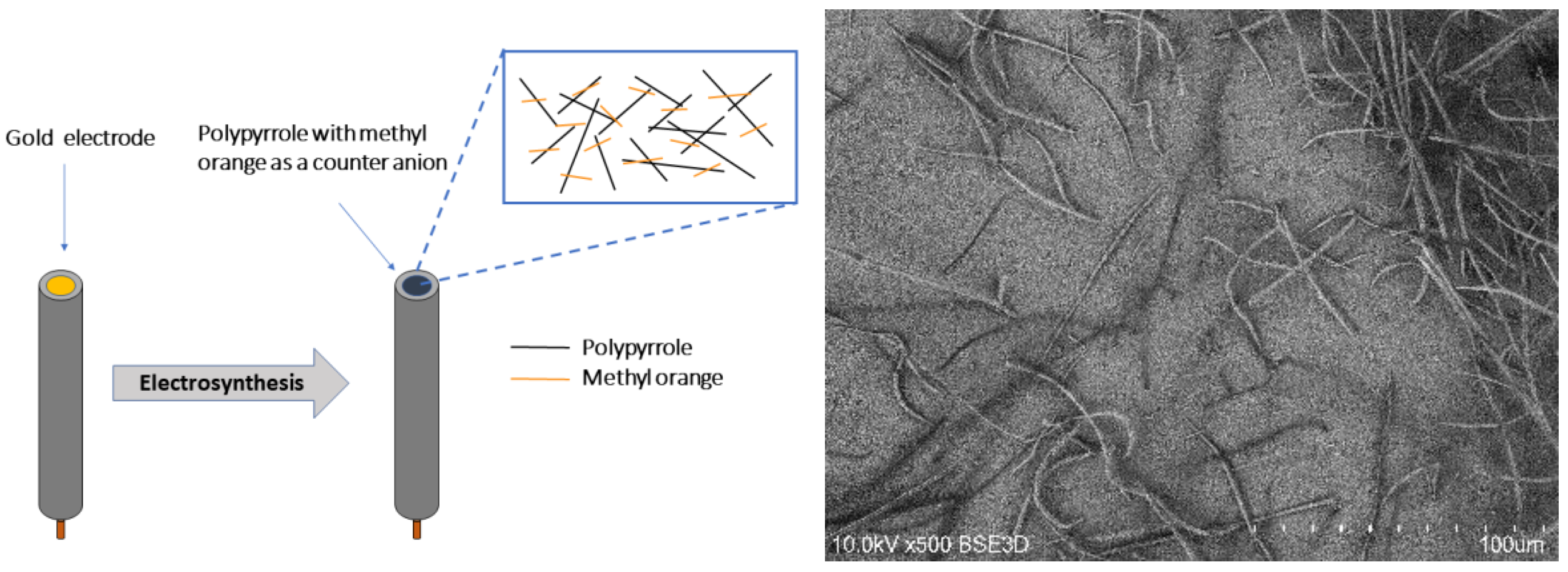 Polymers 11 00715 g001