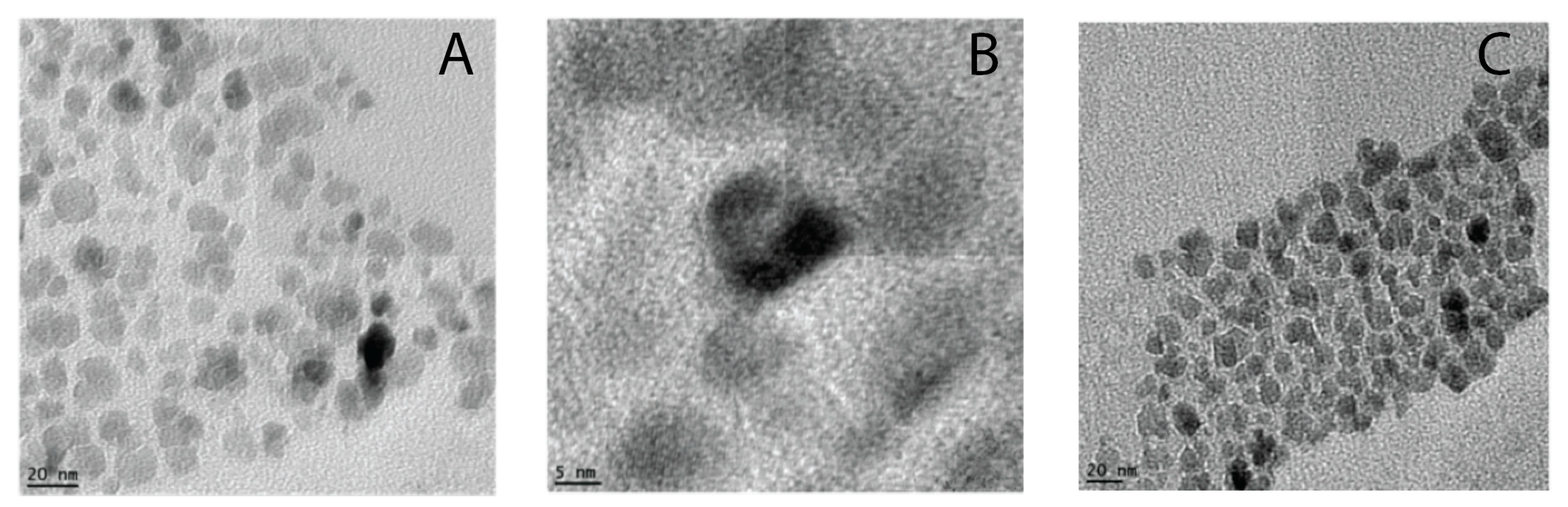 Polymers 11 00743 g004