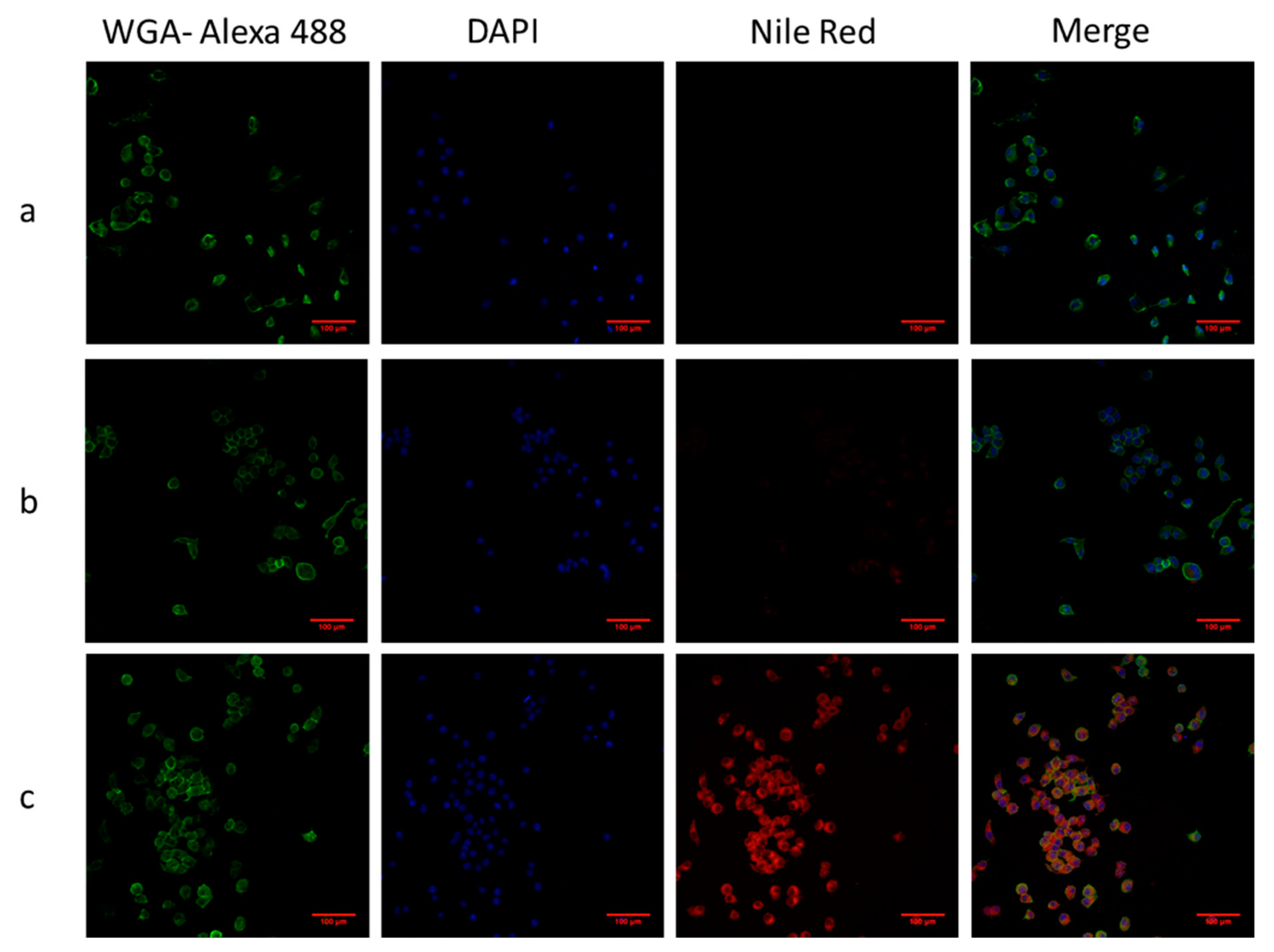 Polymers 11 00743 g007