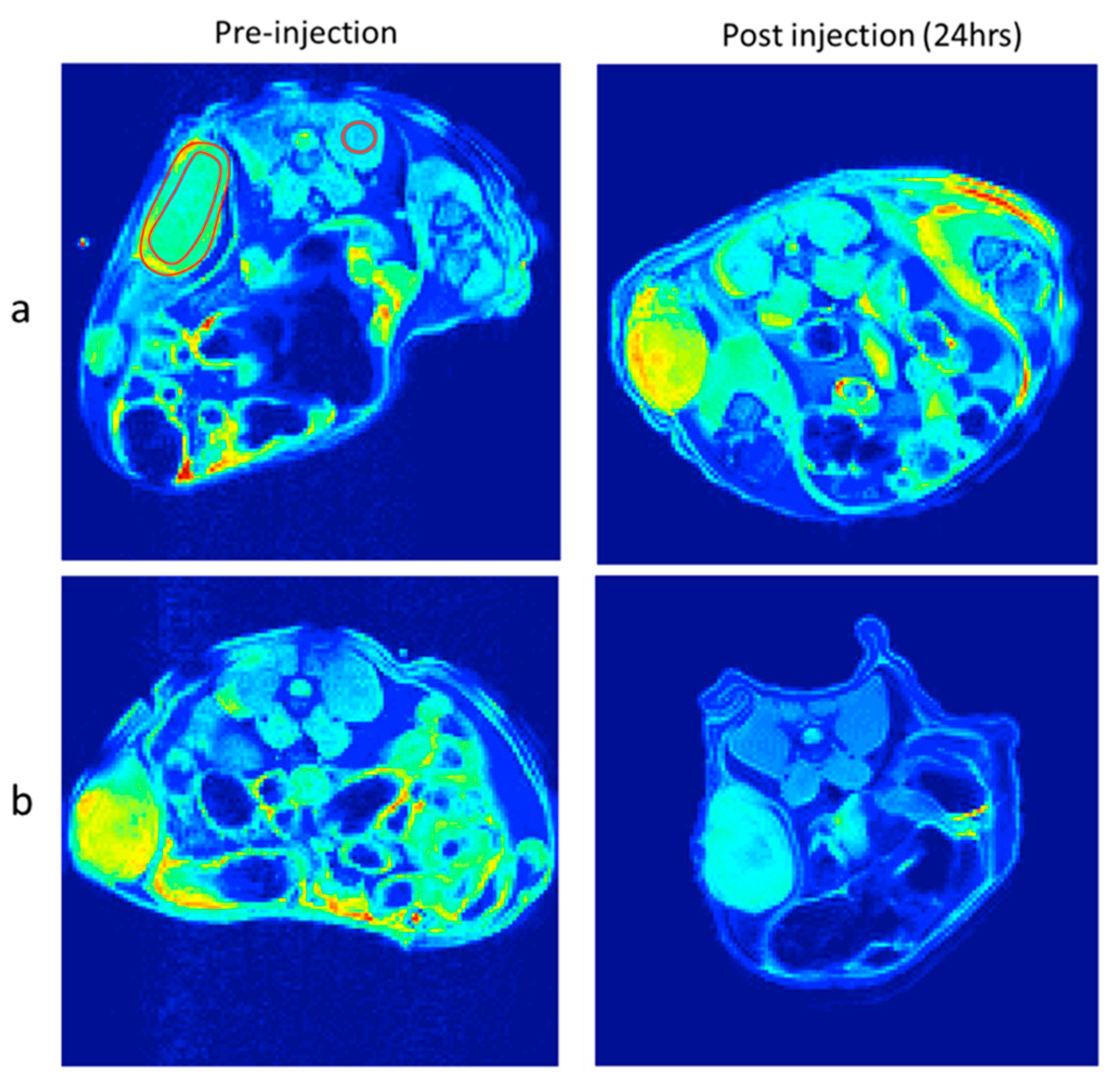 Polymers 11 00743 g011