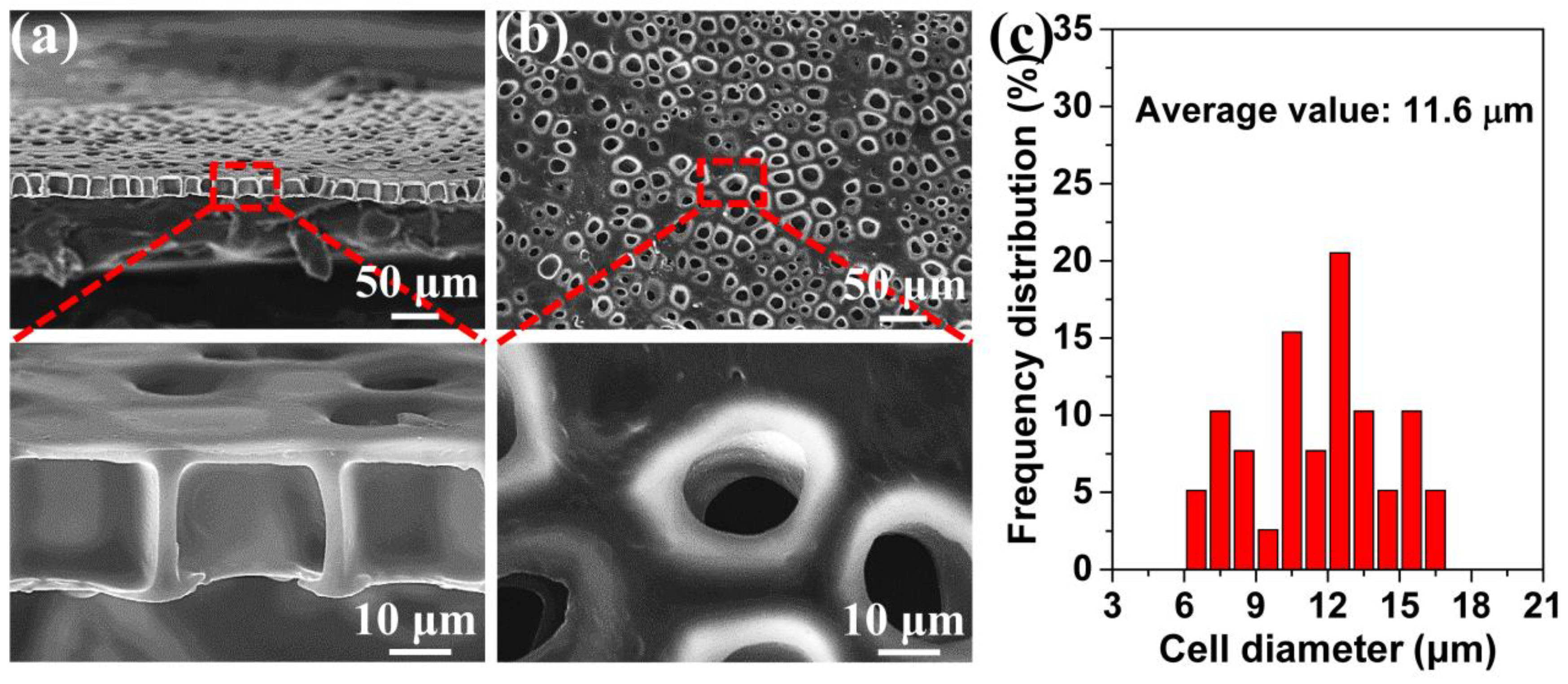 Polymers 11 00847 g003
